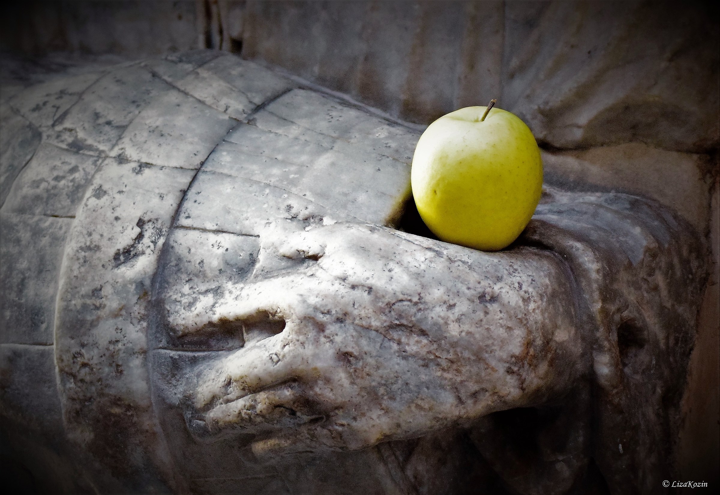 La mela (Fontana del Facchino)