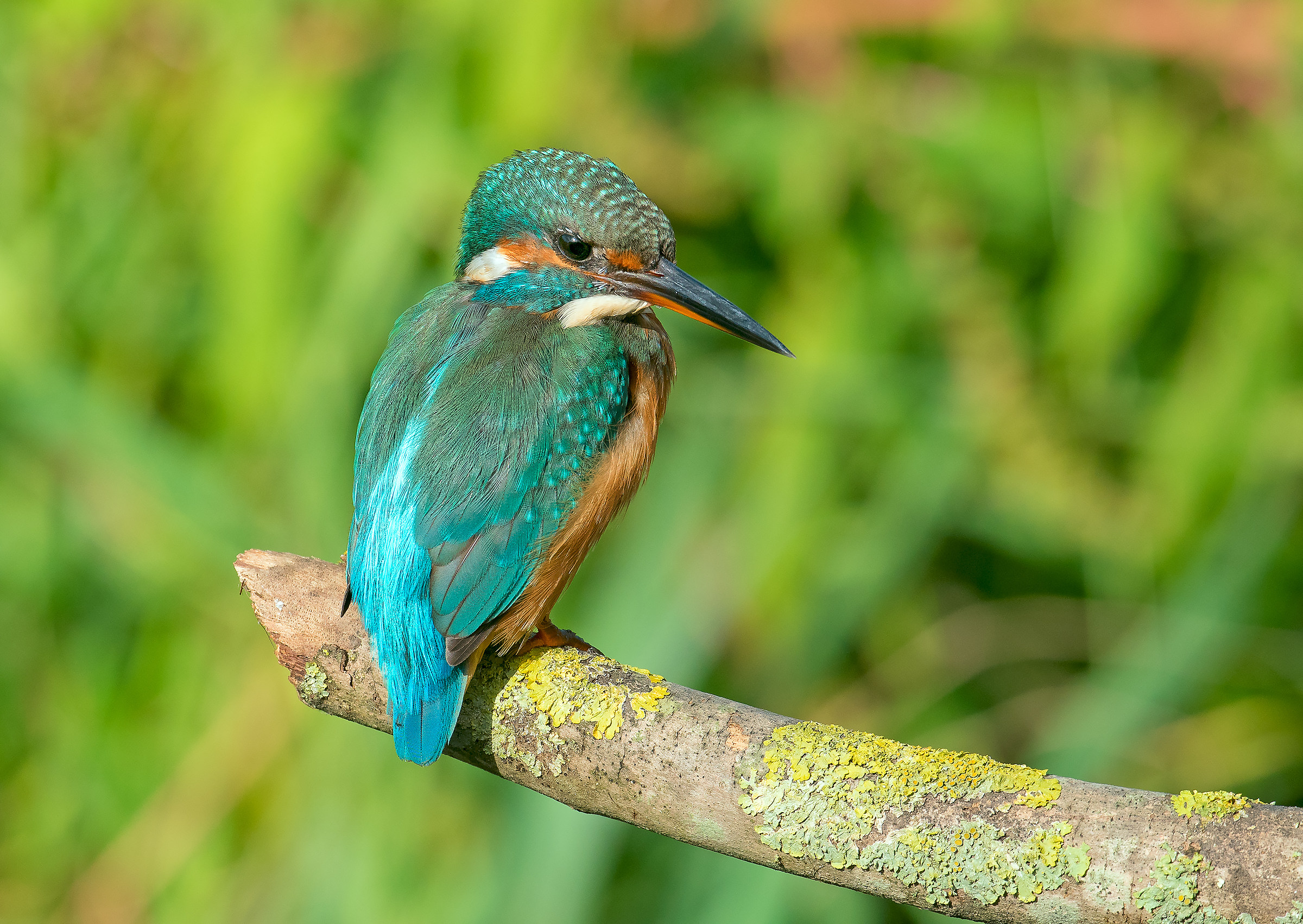 On the first warm sun of April
