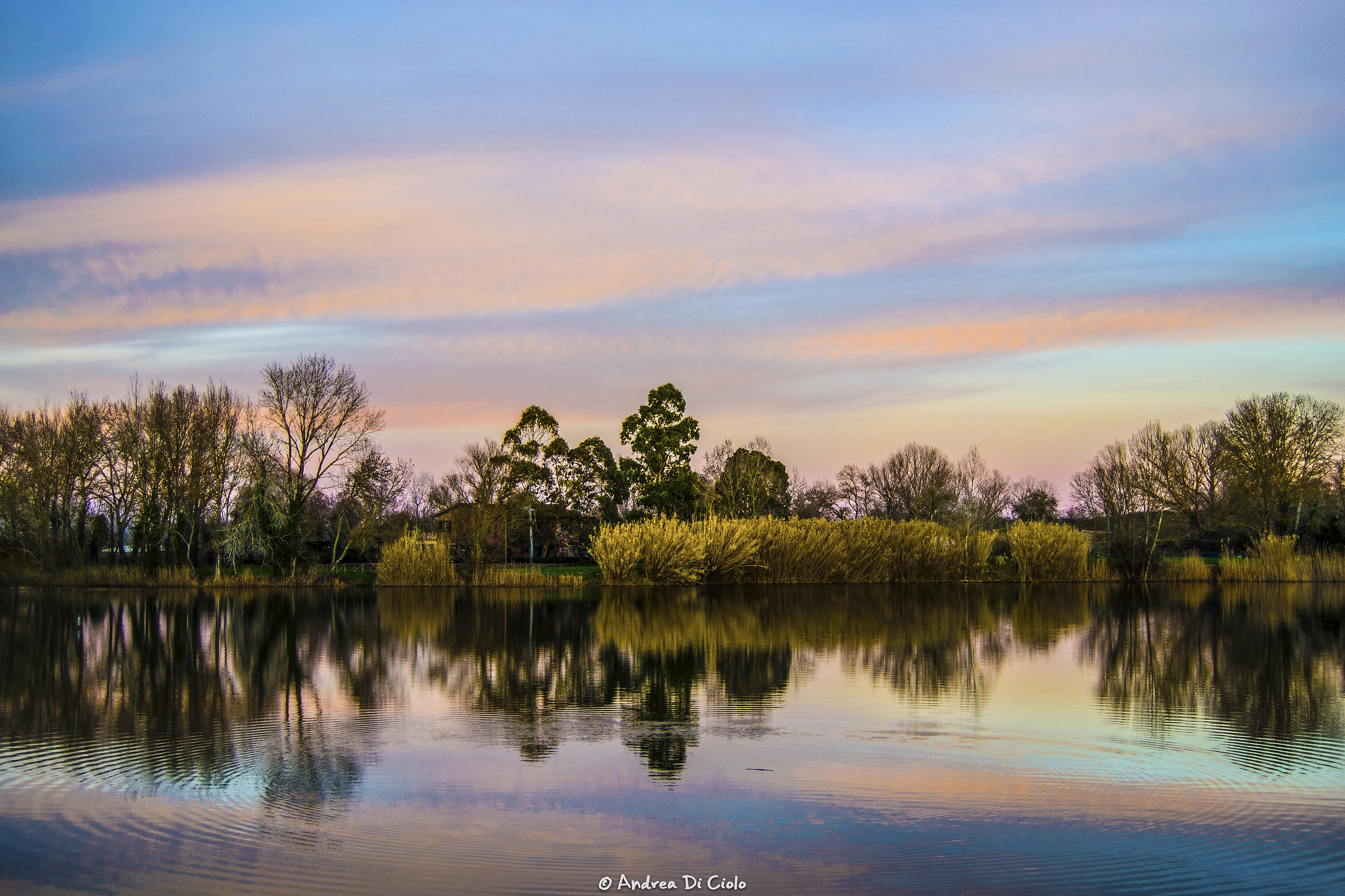 Tramonto su laghetto a Ponsacco (pi)