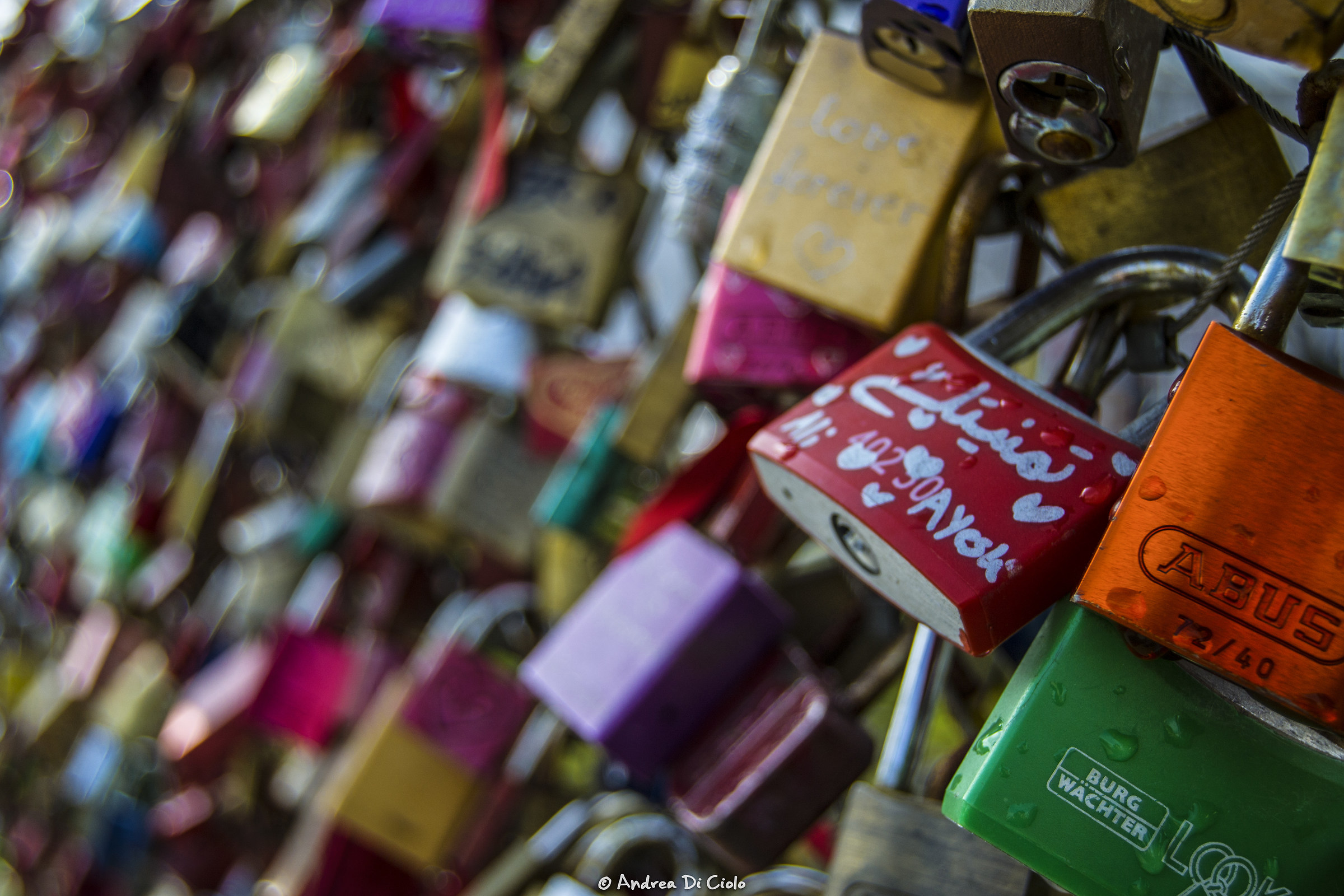 Padlocks on bridge in Salzburg