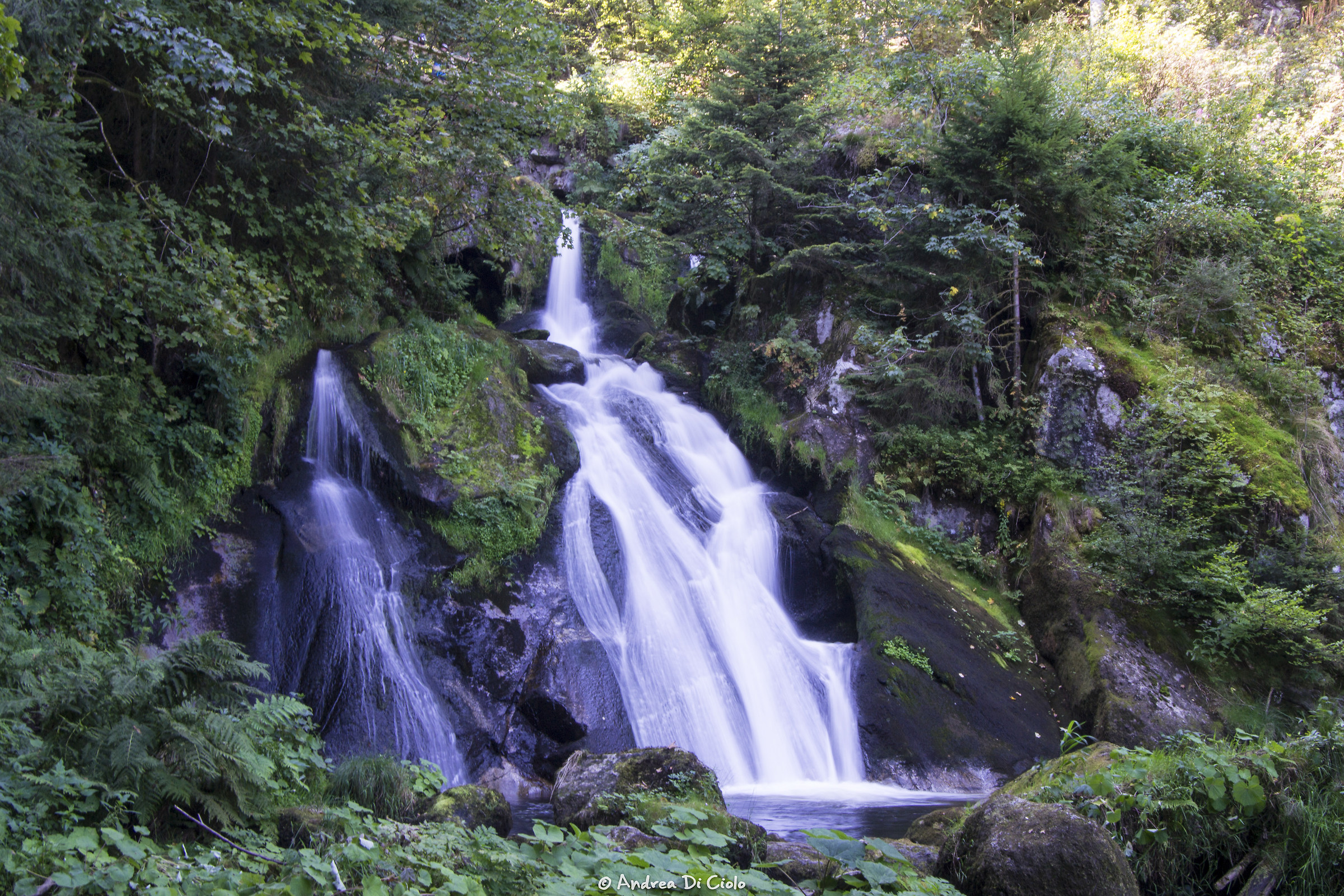 The Triberg waterfalls