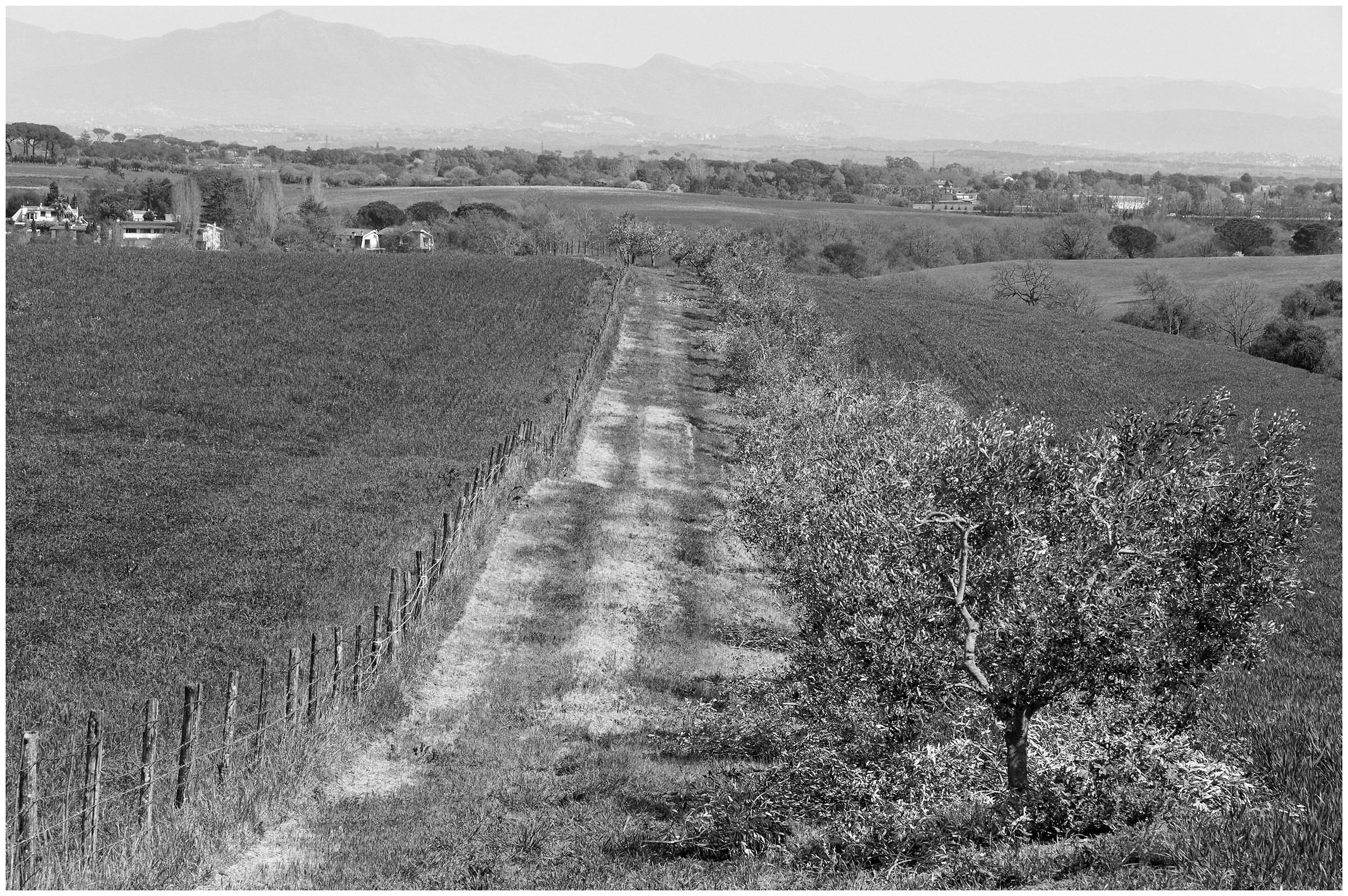 Roman Countryside ...