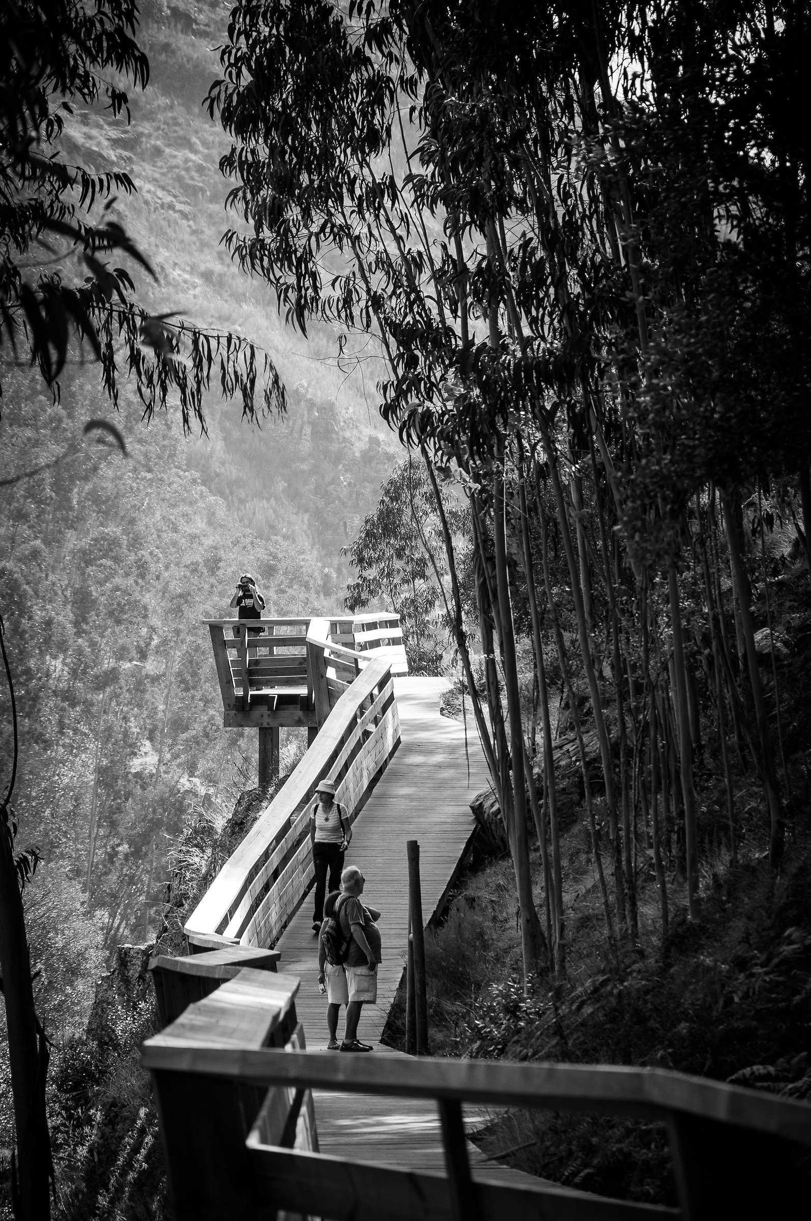 Passeggiata mattutina