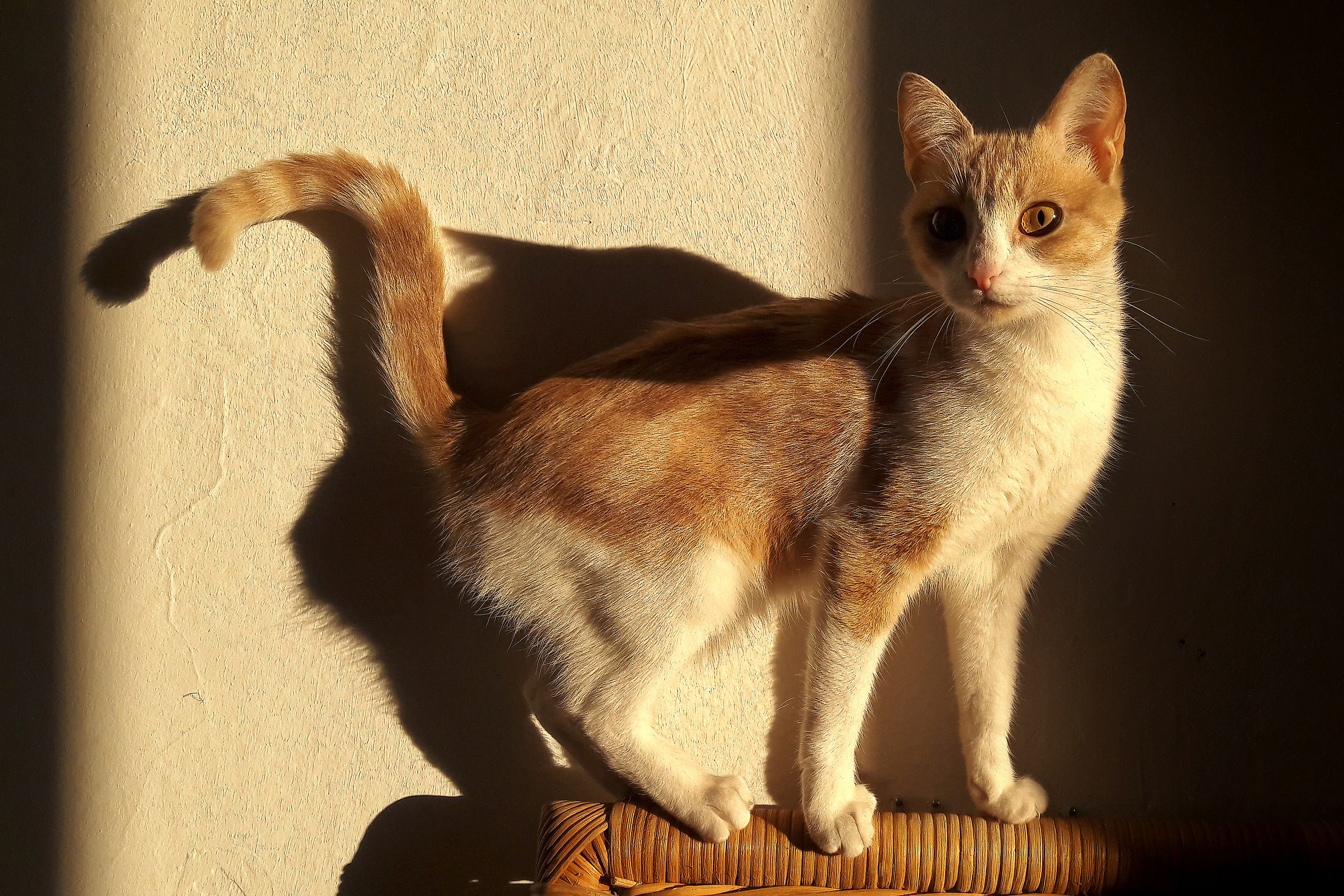 Omaggio ad Edward Hopper