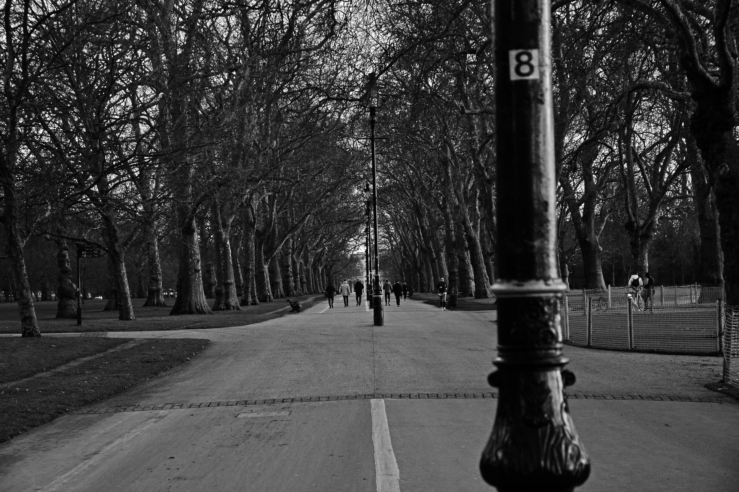 Rose Garden Park London