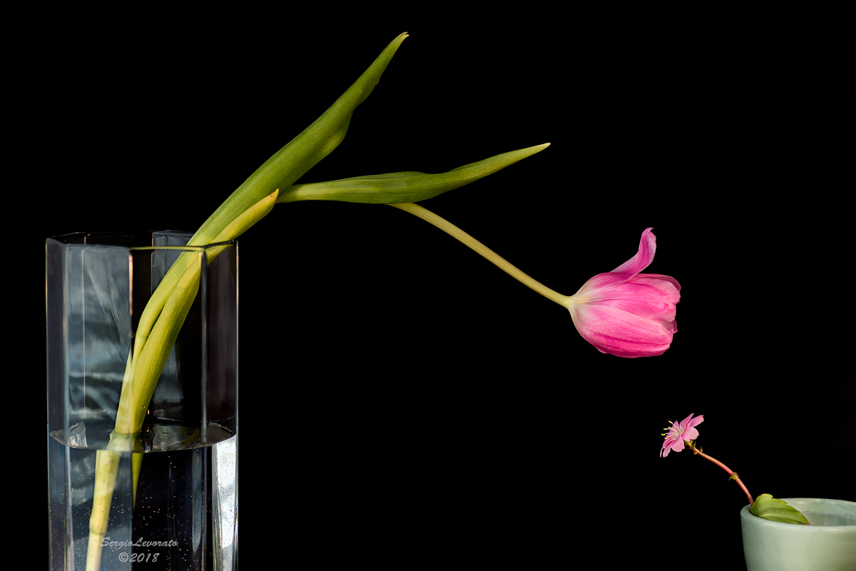 Il gigante e la bambina