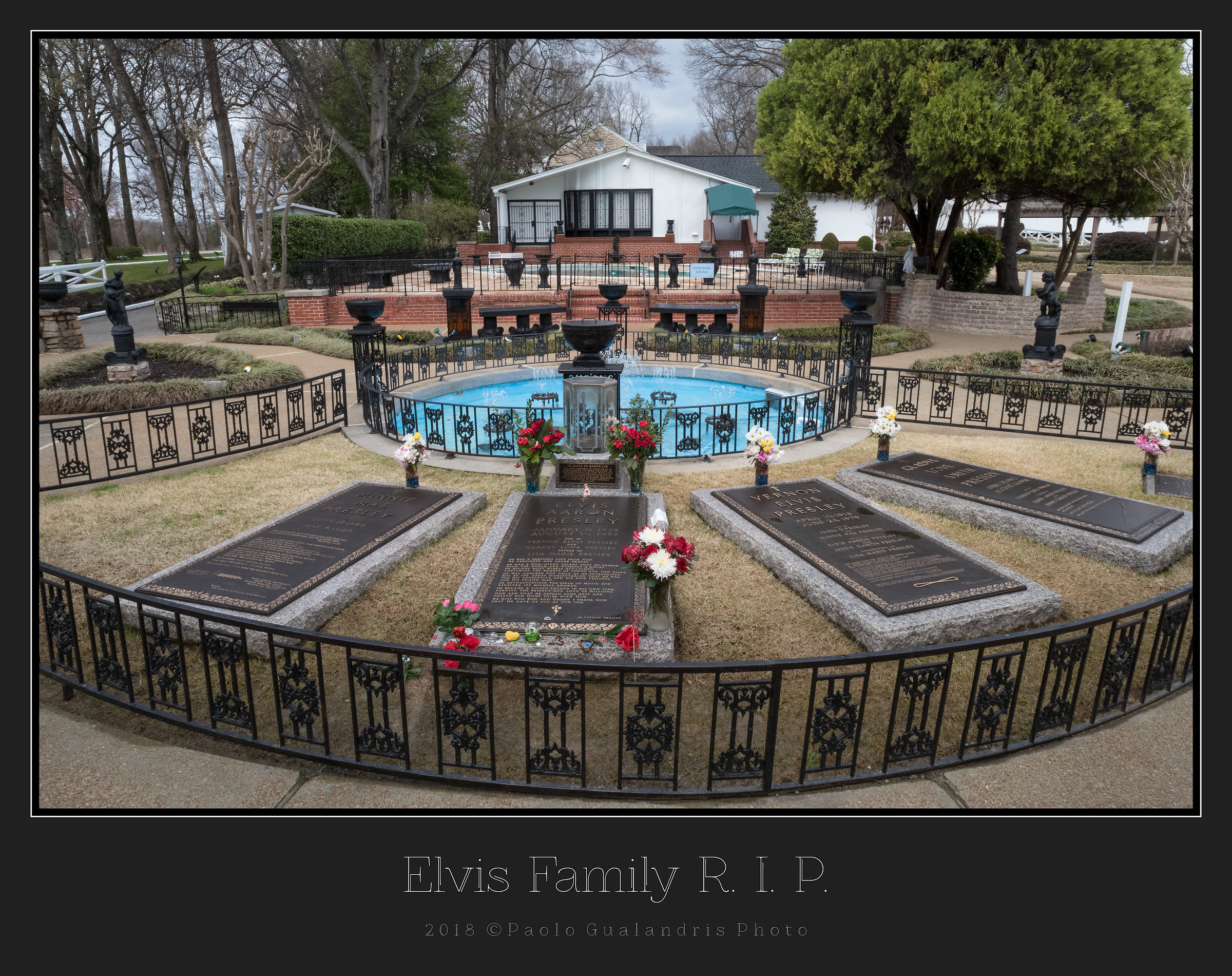 Elvis Family r.i.p.