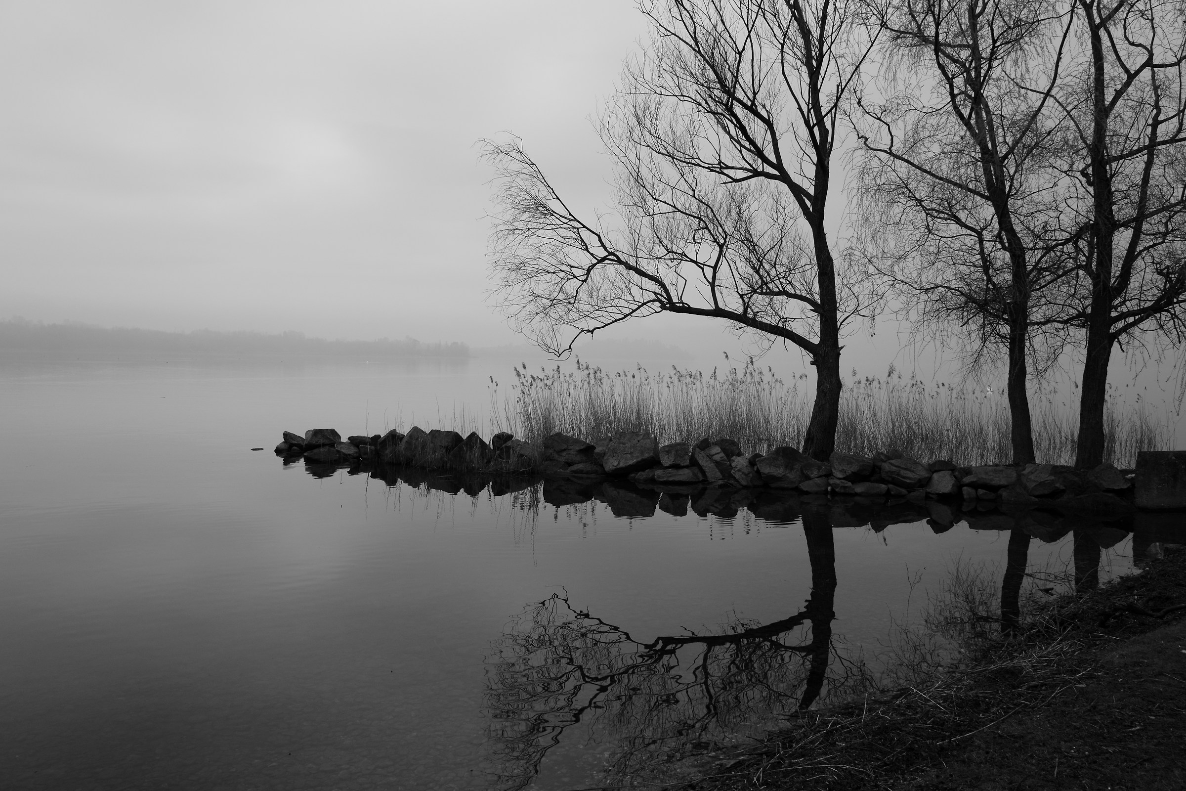 Il lago al mattino presto