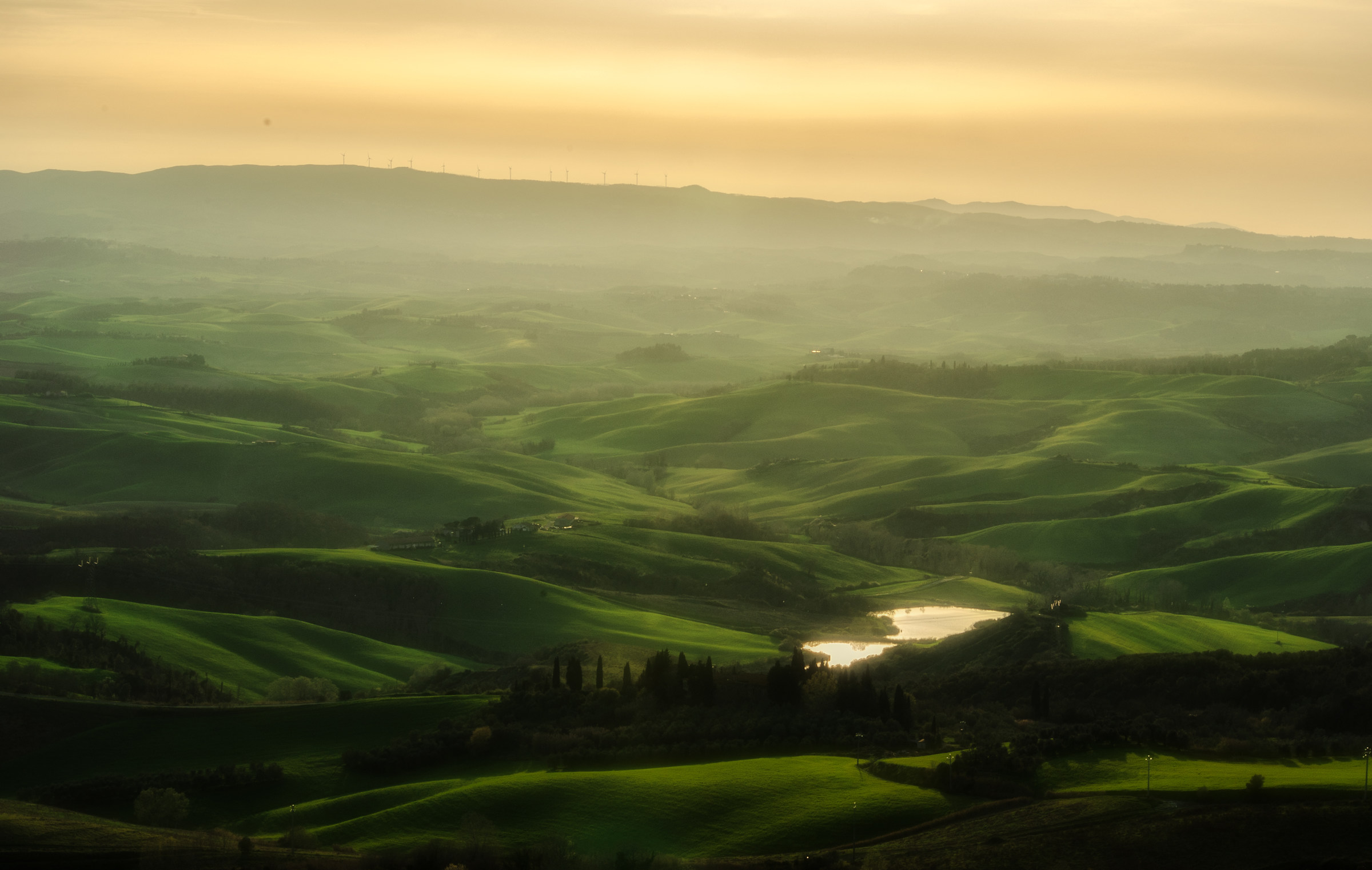 50 Sfumature Di Verde