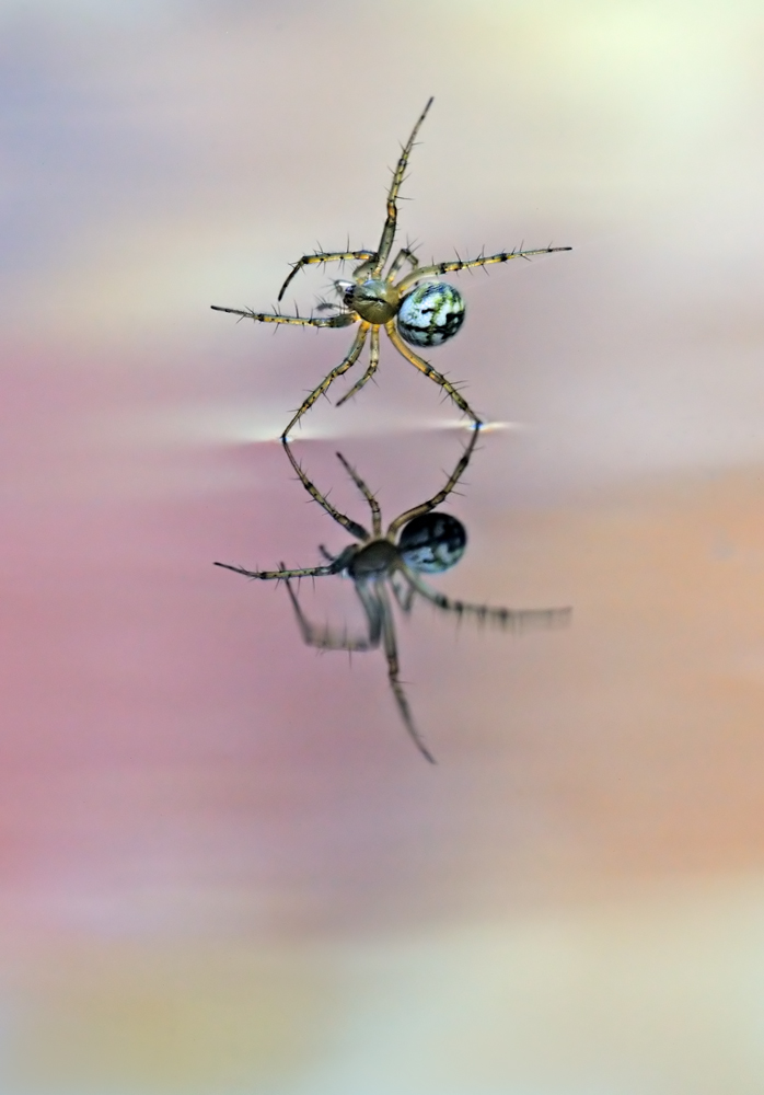 la ruota sull'acqua..
