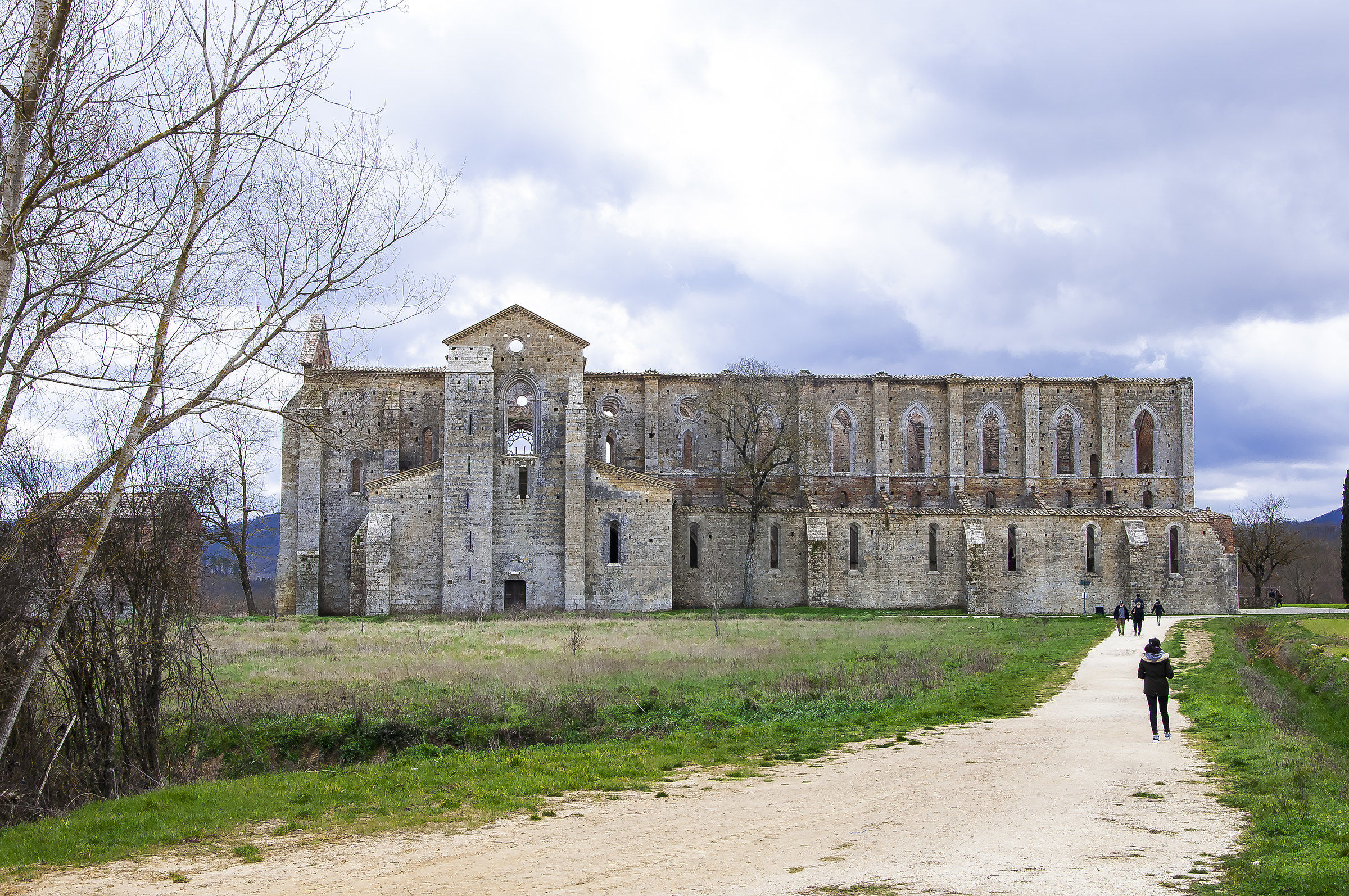Abbazia di San Galgano . Siena (laterale esterno)