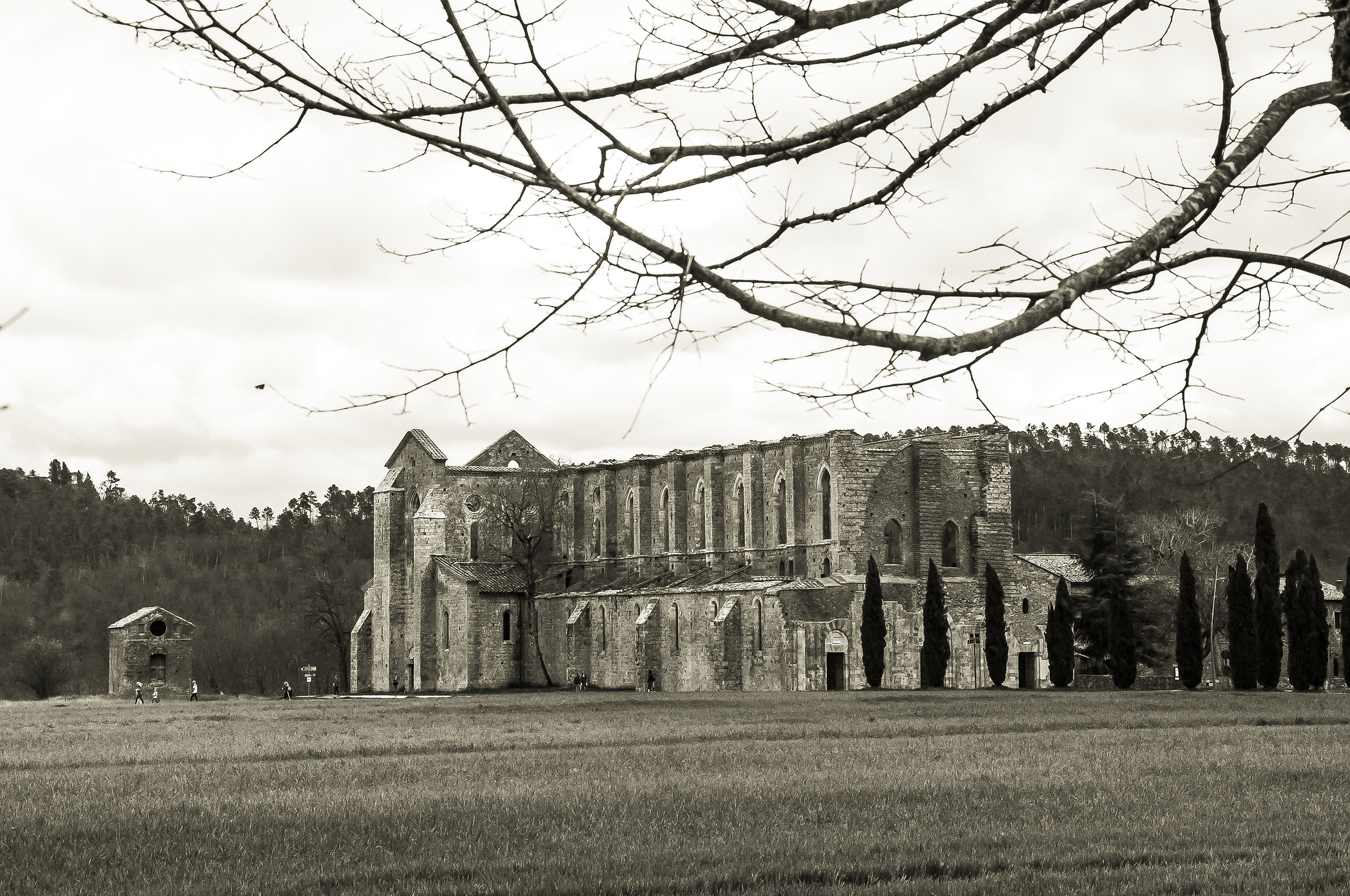 Abbazia di San Galgano - Siena