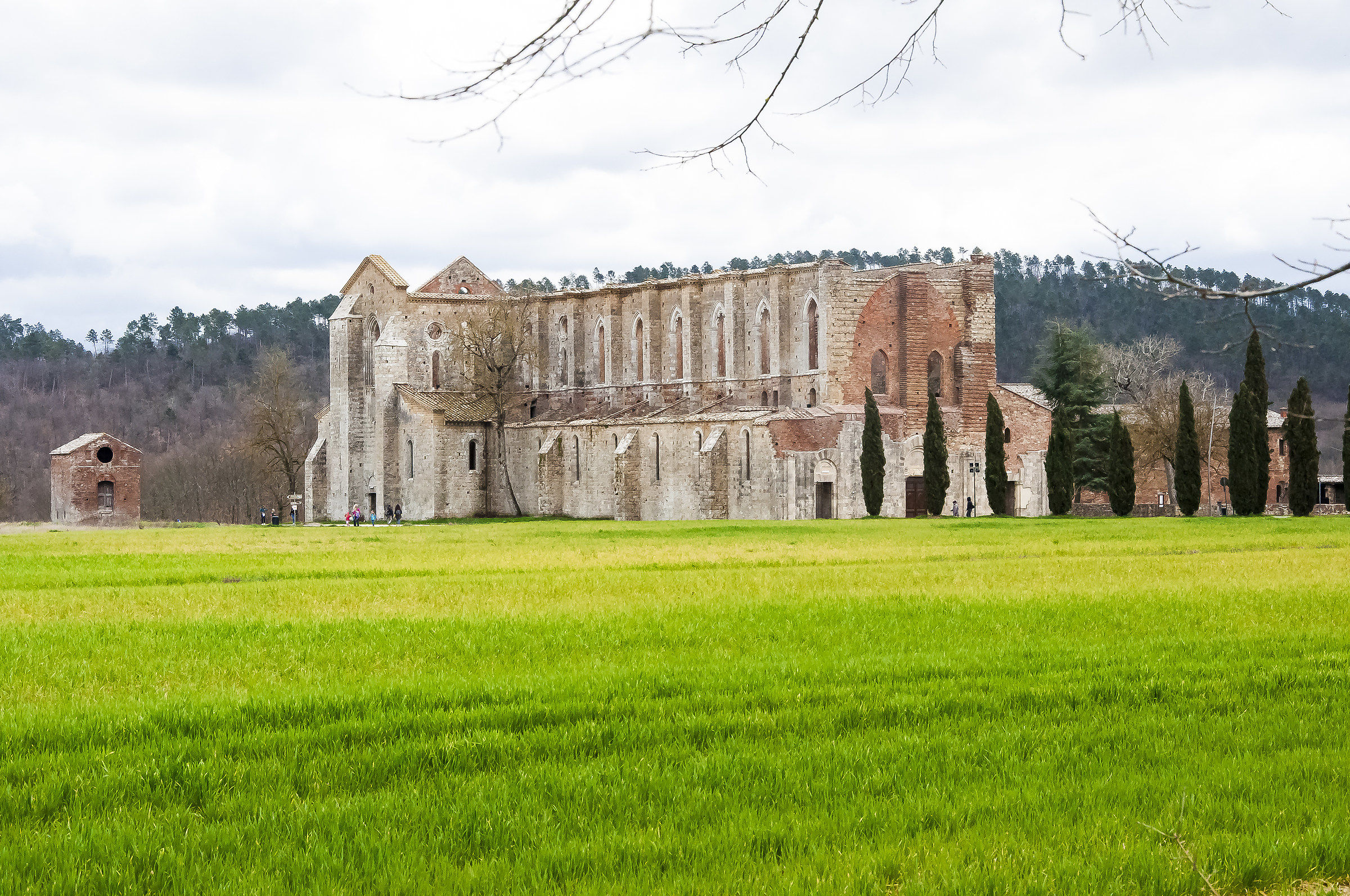 Abbazia di San Galgano - Siena