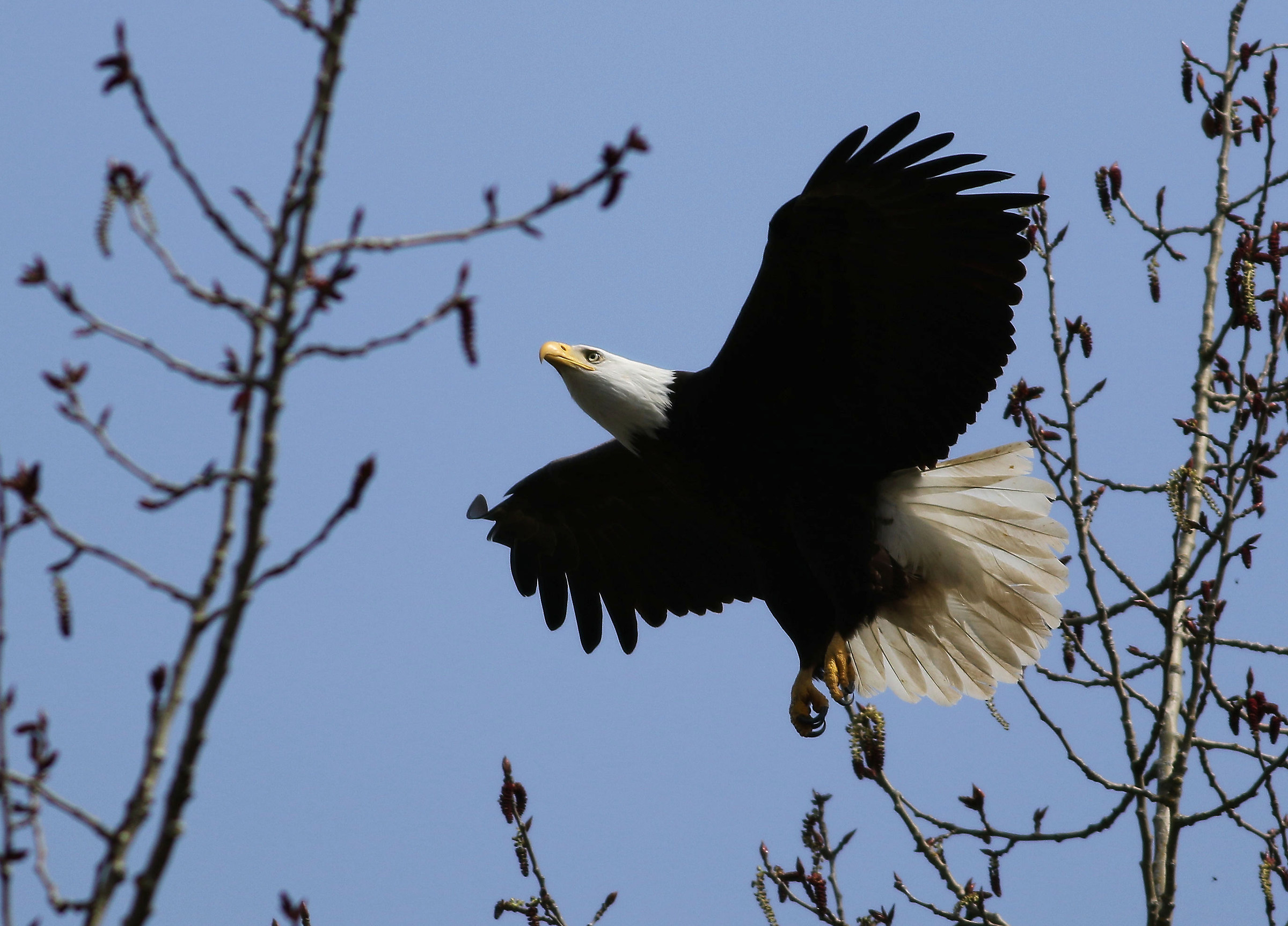 Barca a vela attraverso