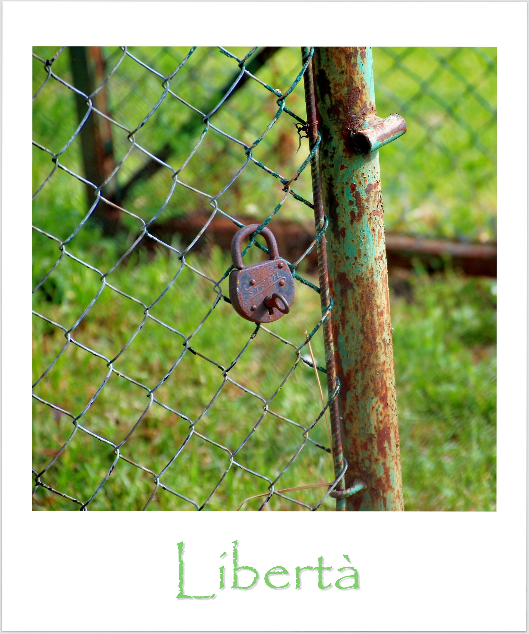 Libertà