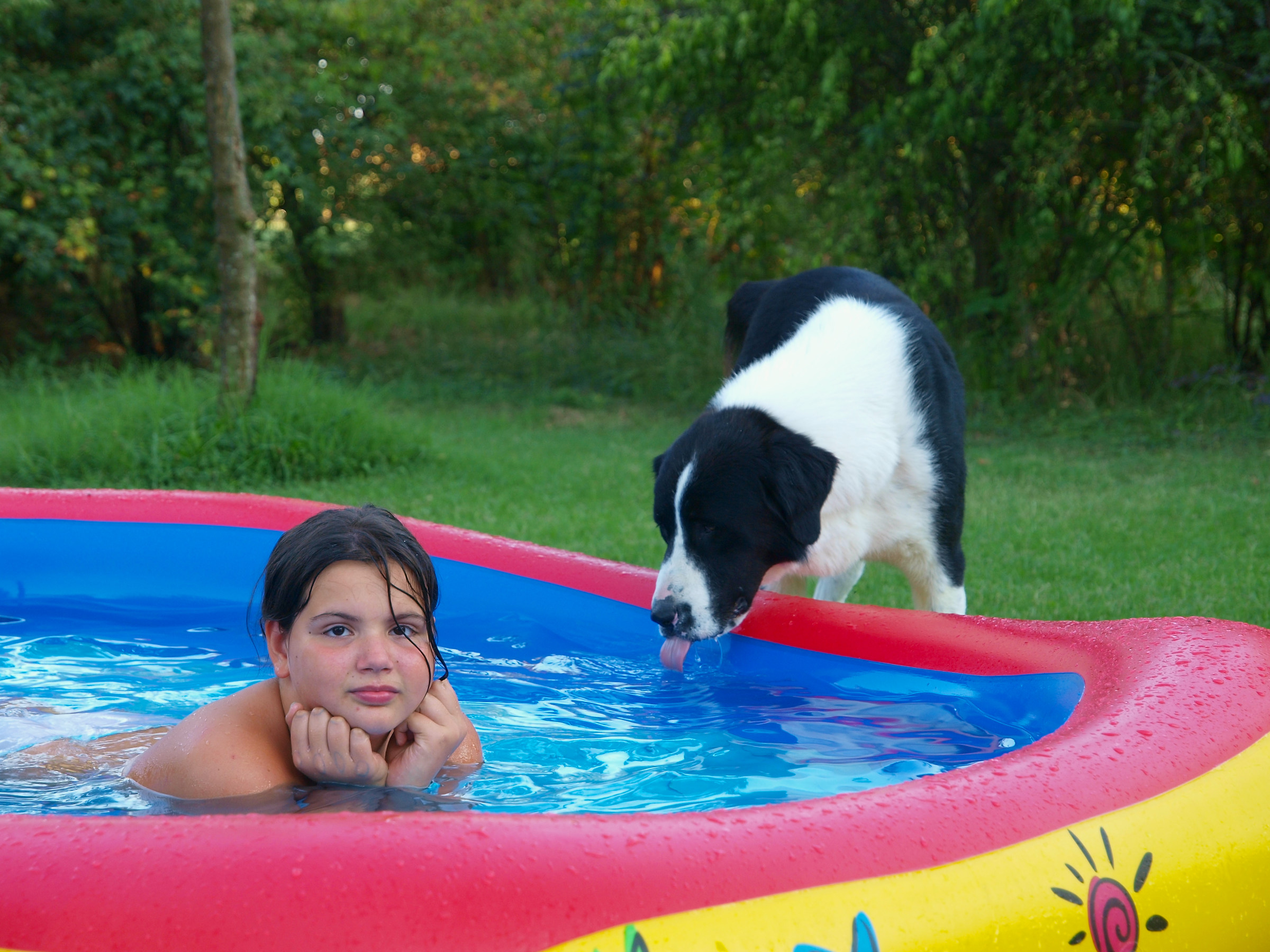 Siamo una banda di zingari....