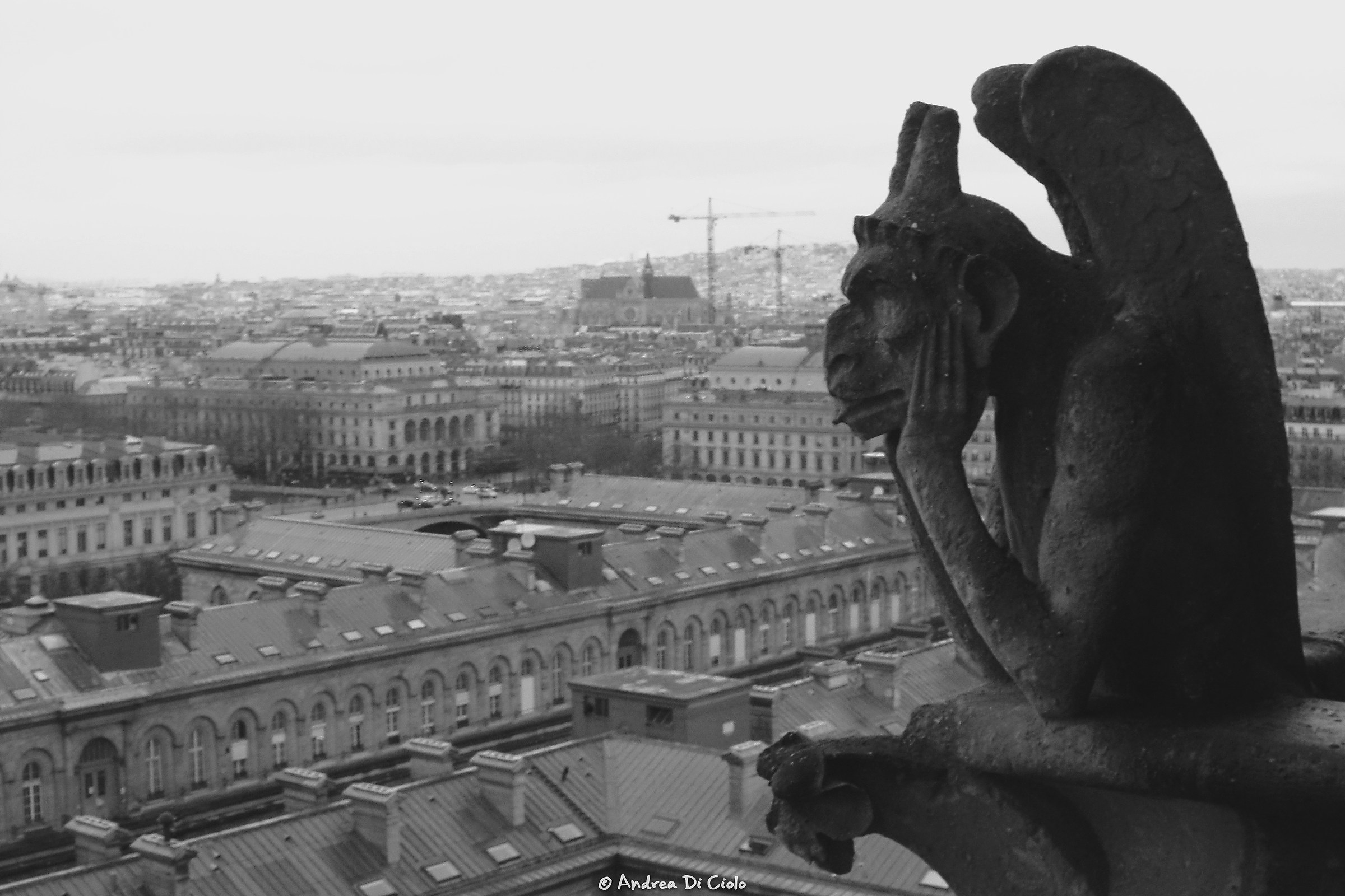 Gargoyles at Notre Dame