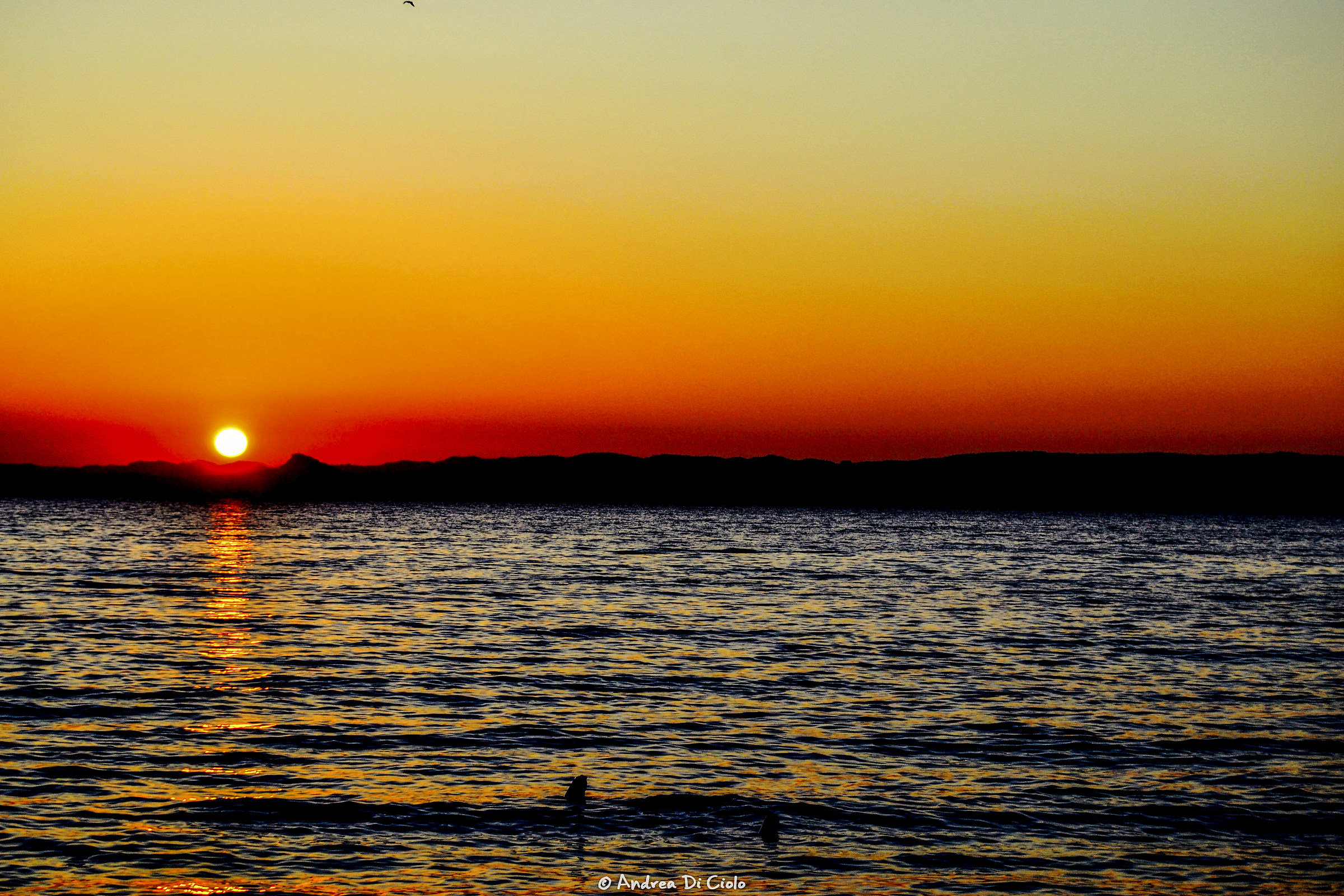 Tramonto sul Garda