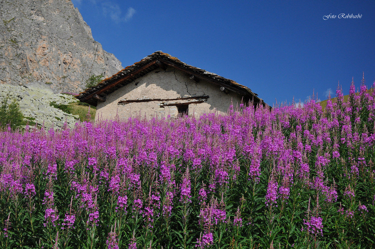 At the foot of Chersogno ...