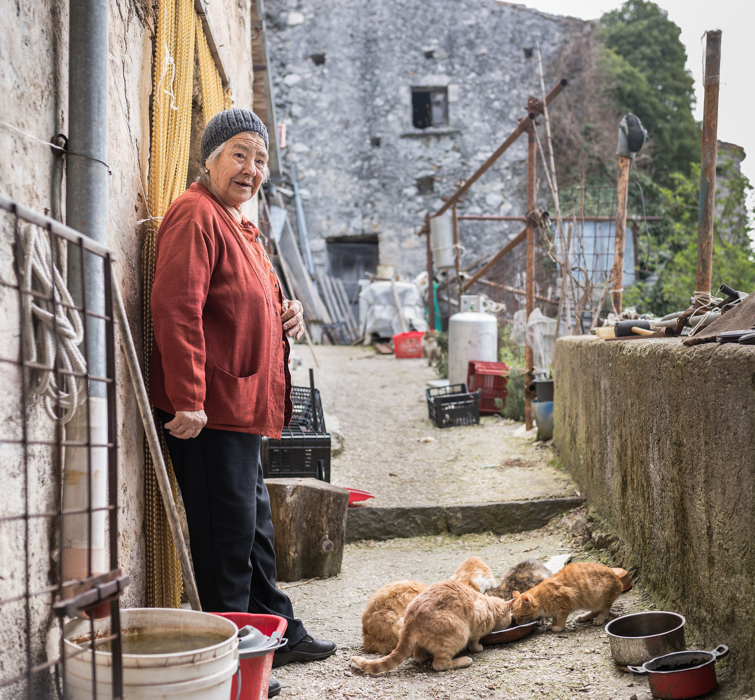 L'anziana del borgo ed i suoi gatti