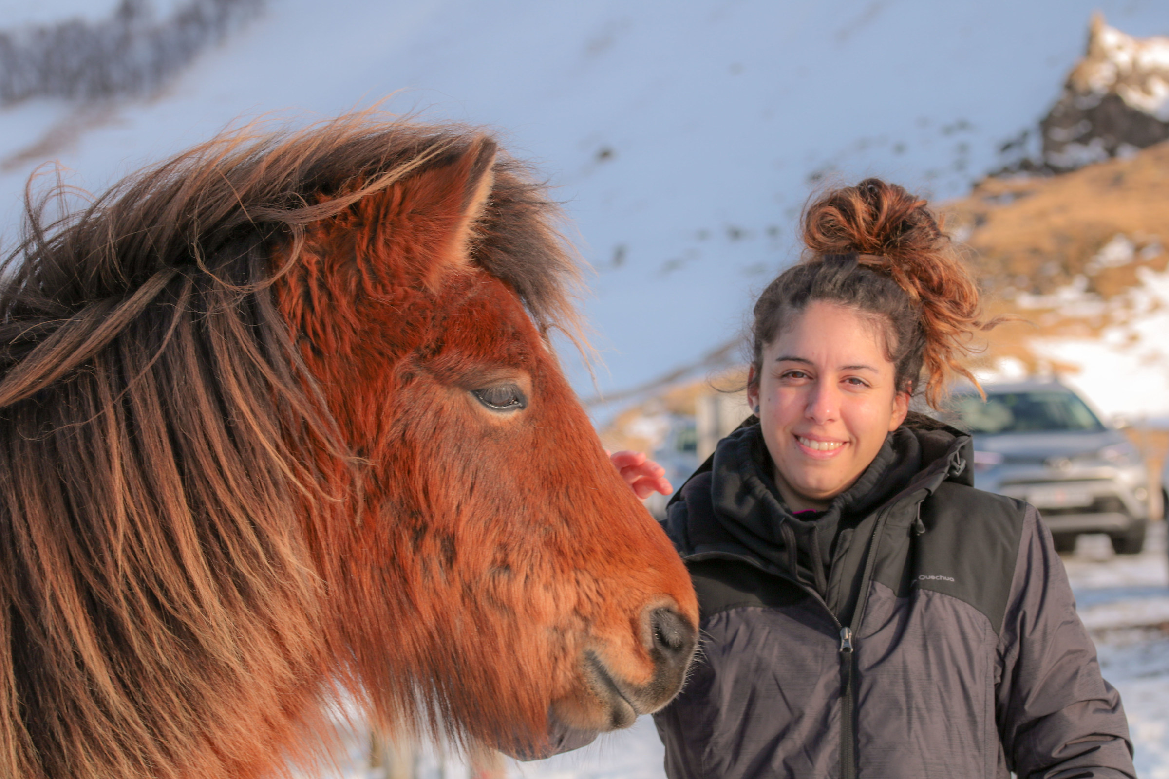 La bella e il pony