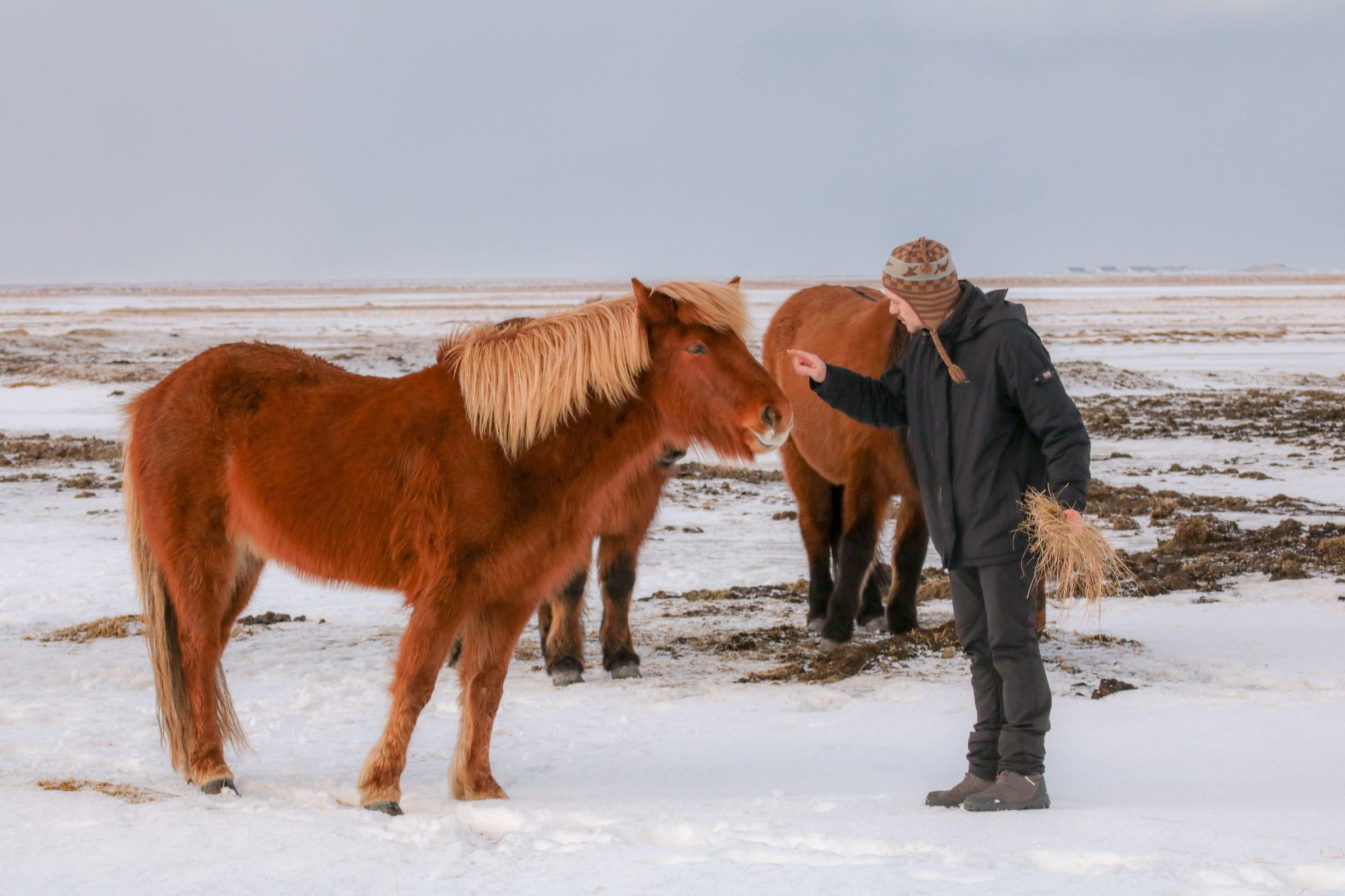 Aspetta il tuo turno!!
