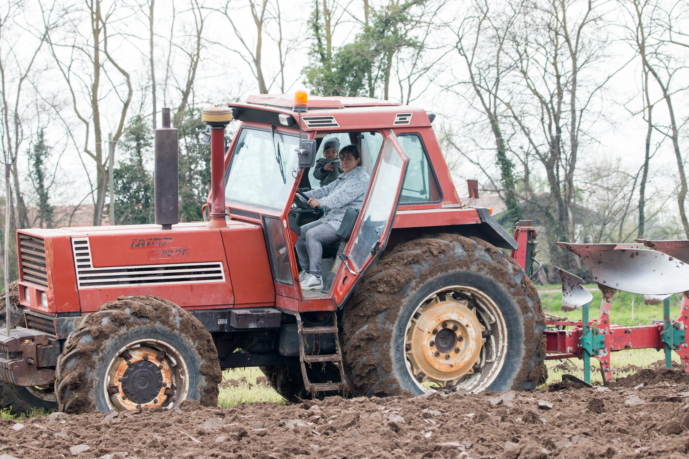 La gioia della moglie....