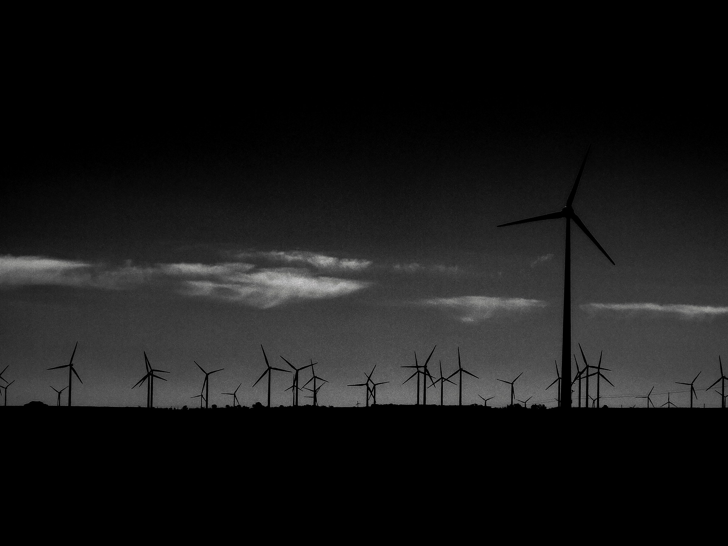 Steel forests draw new landscapes