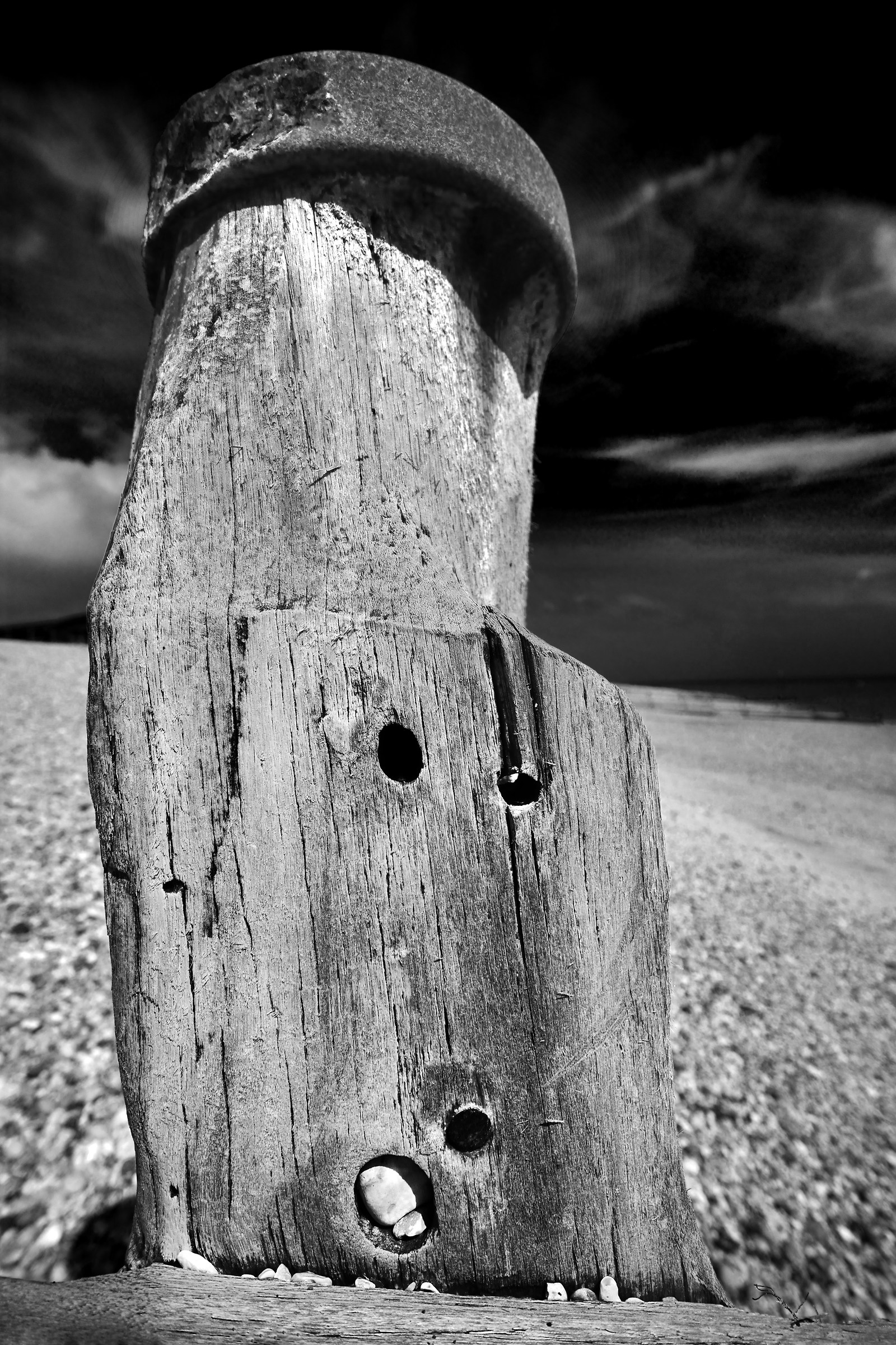 Sculptured by the Sea