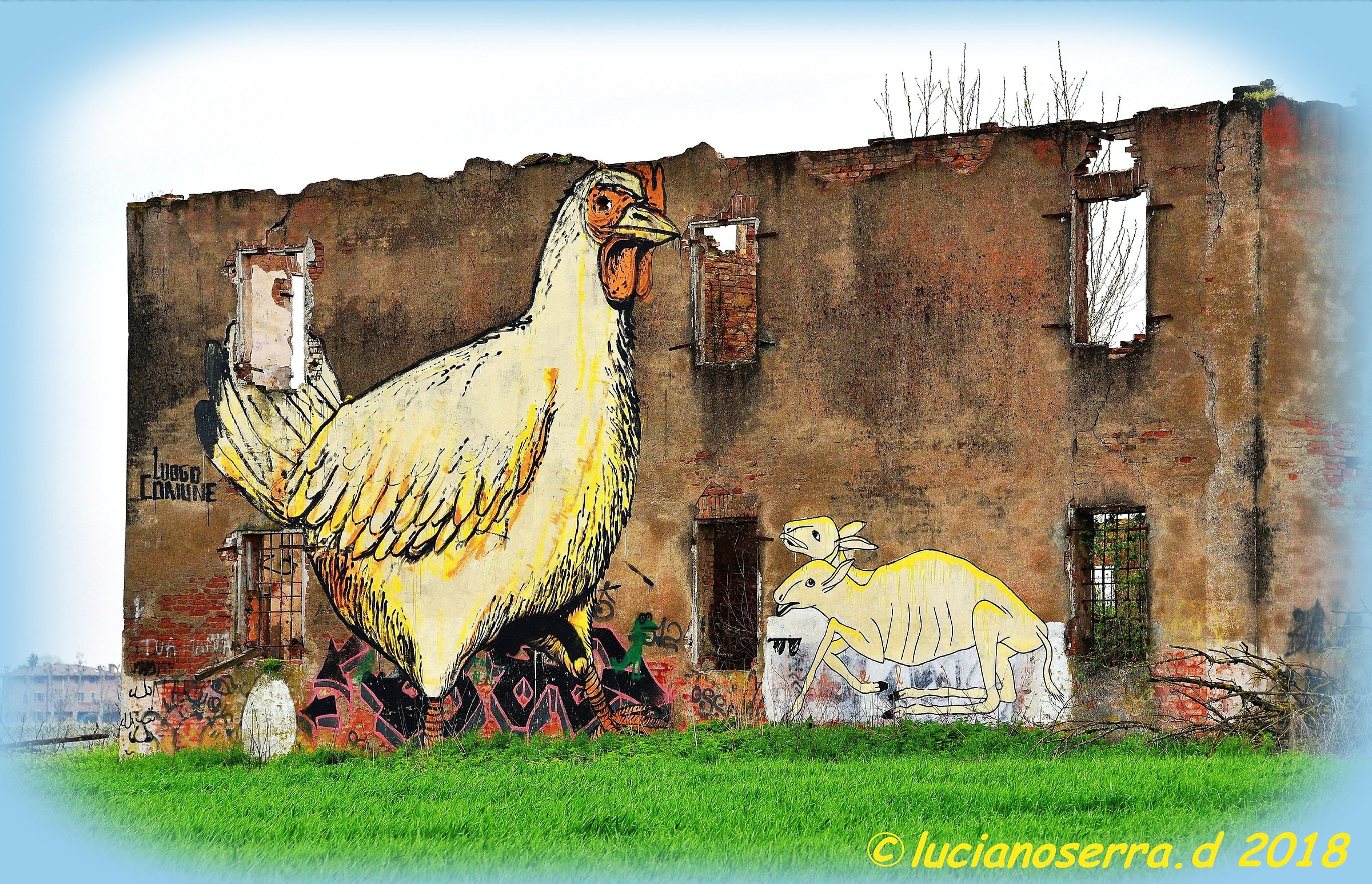 A very nice hen ... giant ...