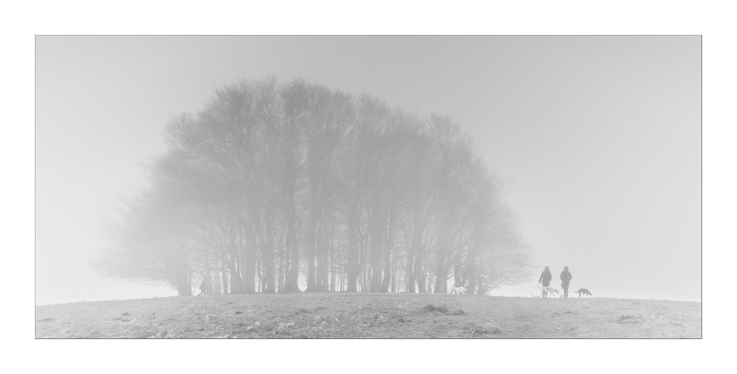 Emergendo attraverso la nebbia