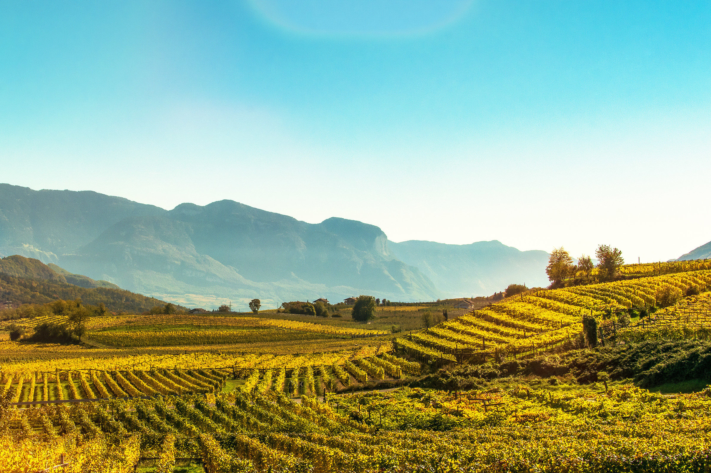 Caldaro, vista sulla Strada del Vino