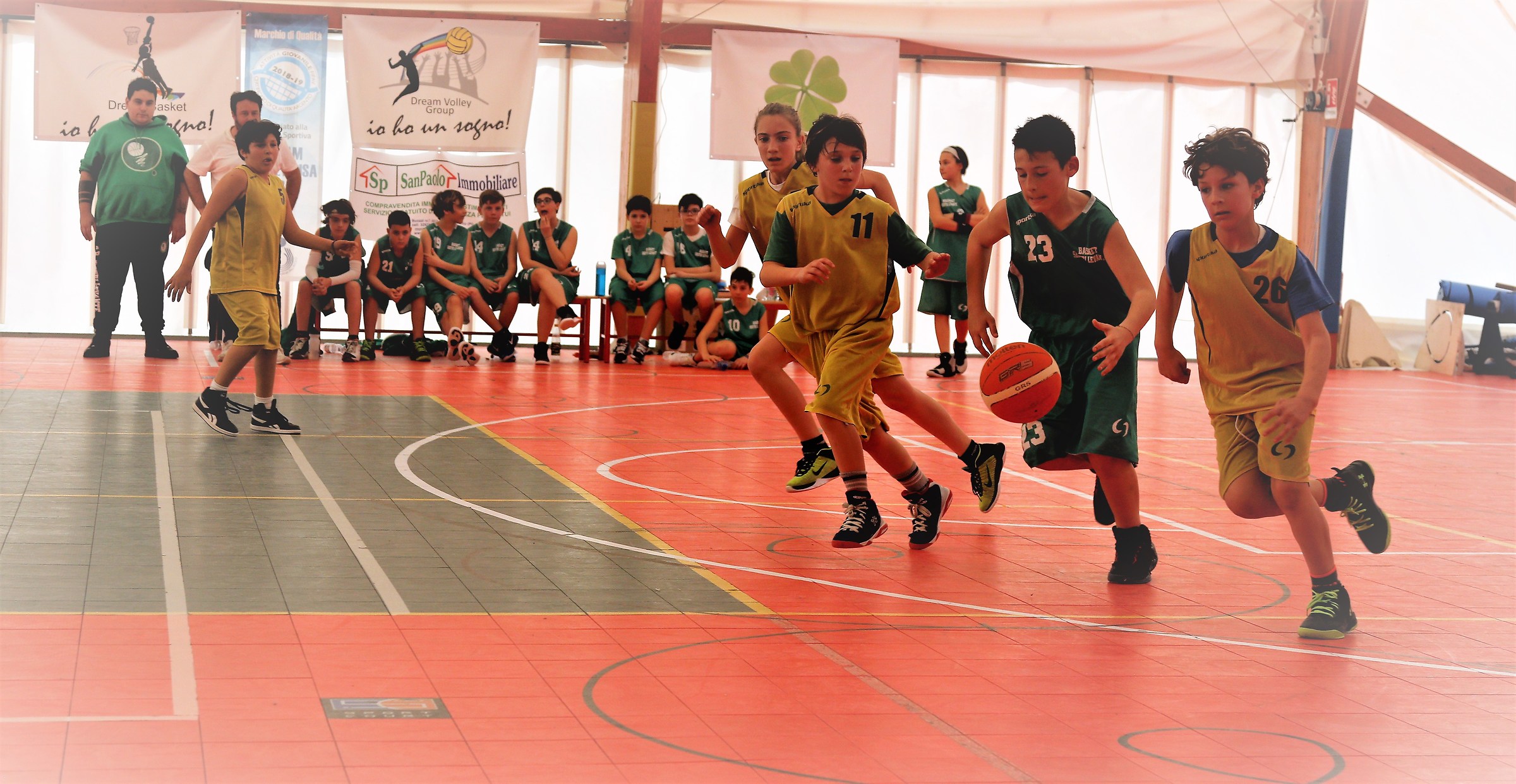 young champions grow