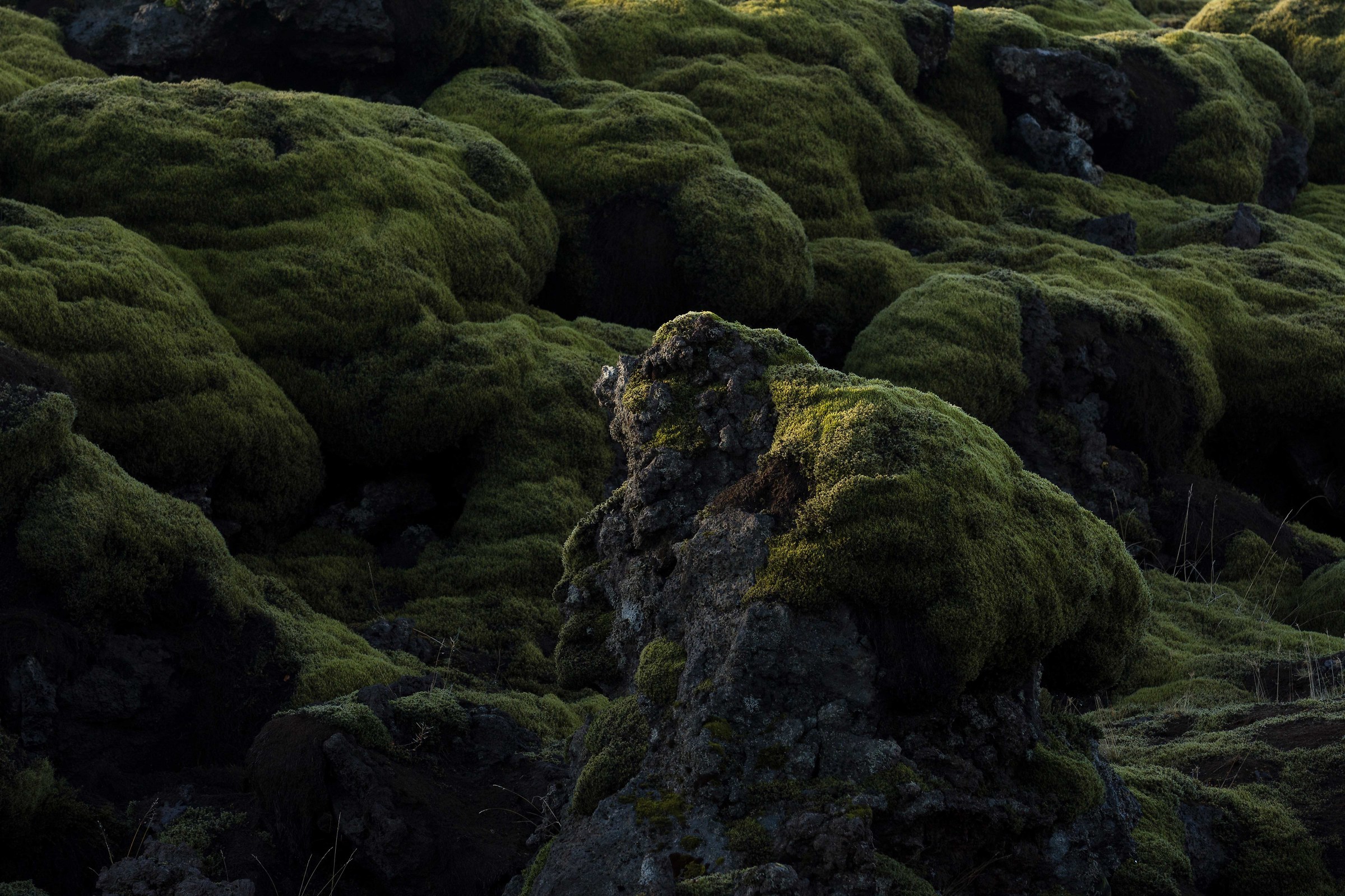 First light in Iceland