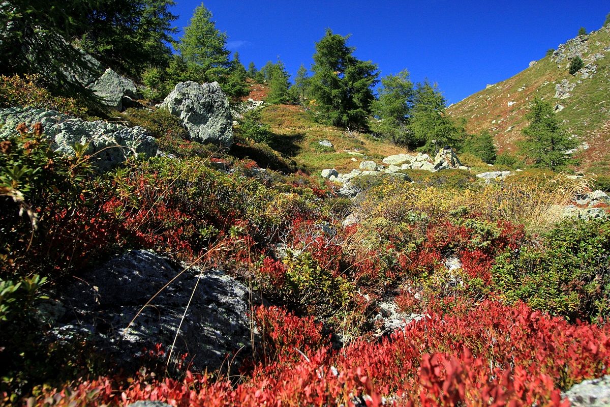 colori d' inizio autunno