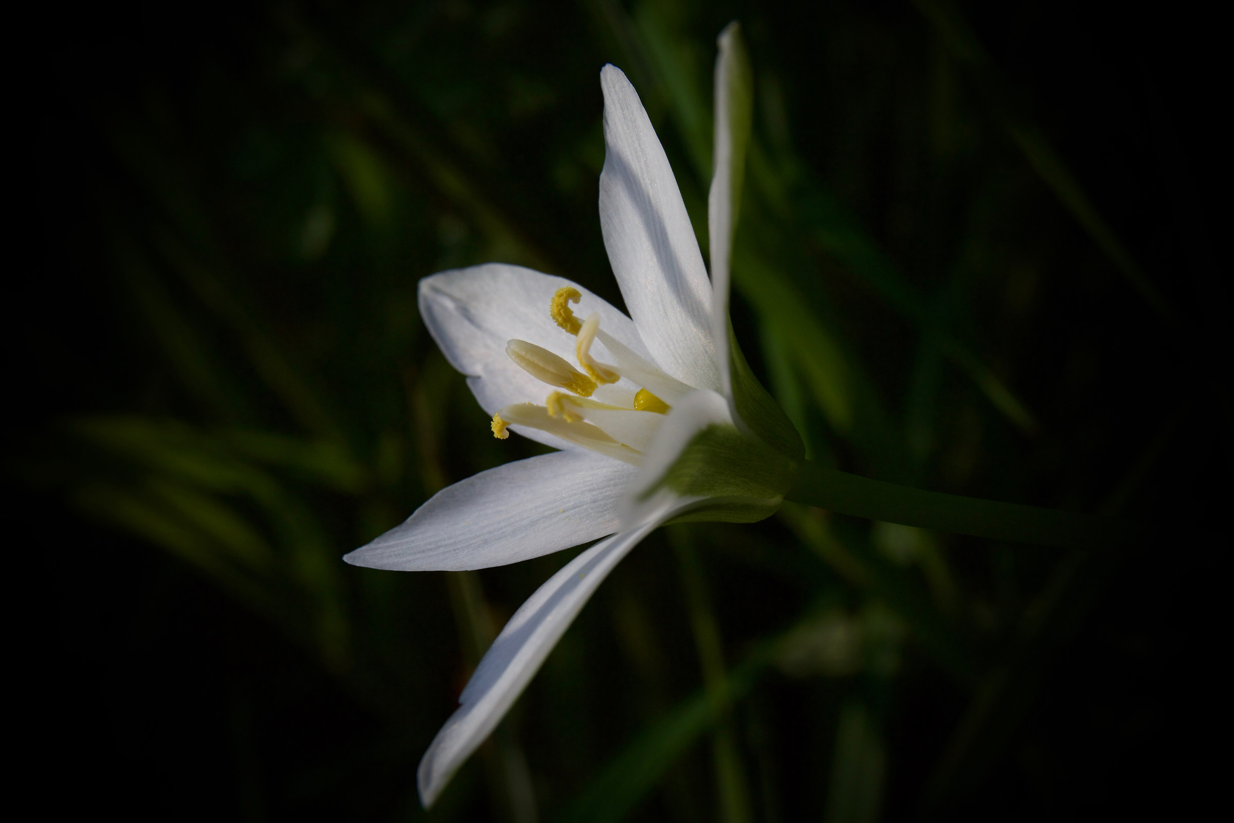 ... into the light ...