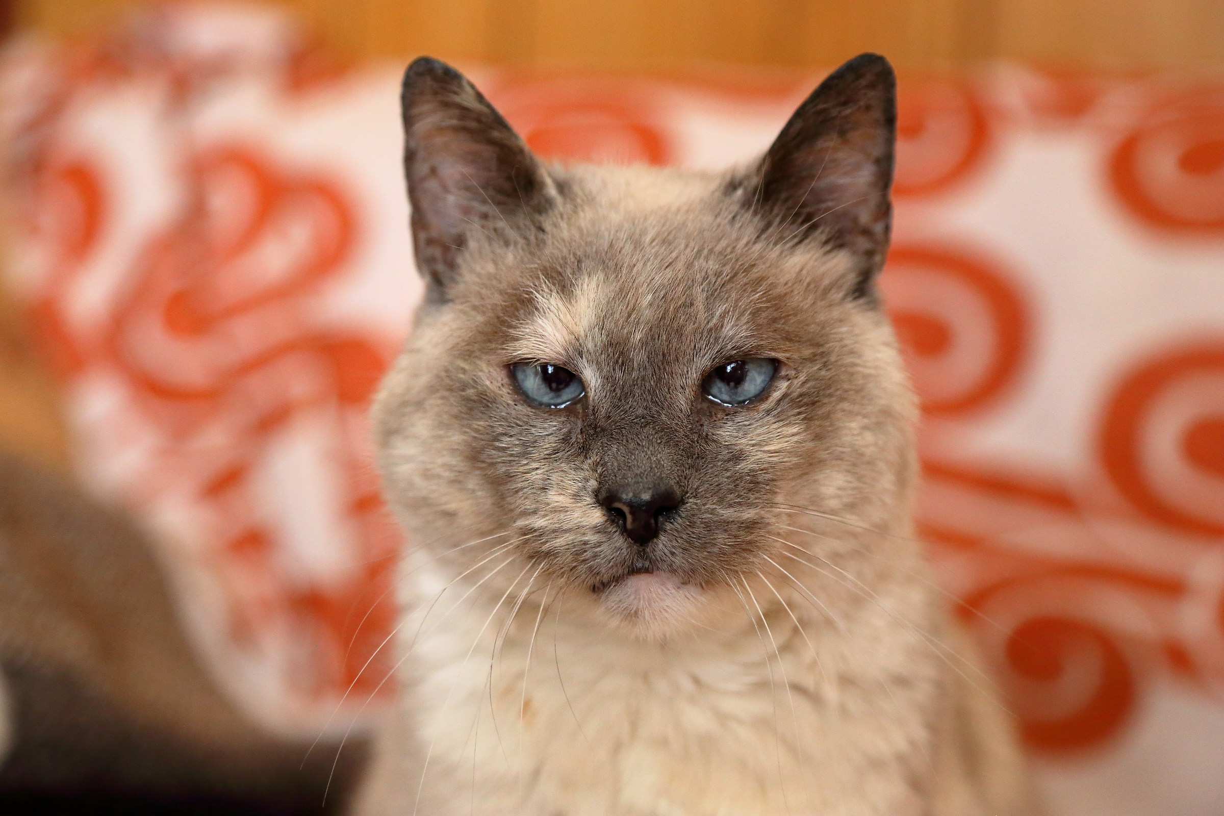 Nevina celebrates 20 years