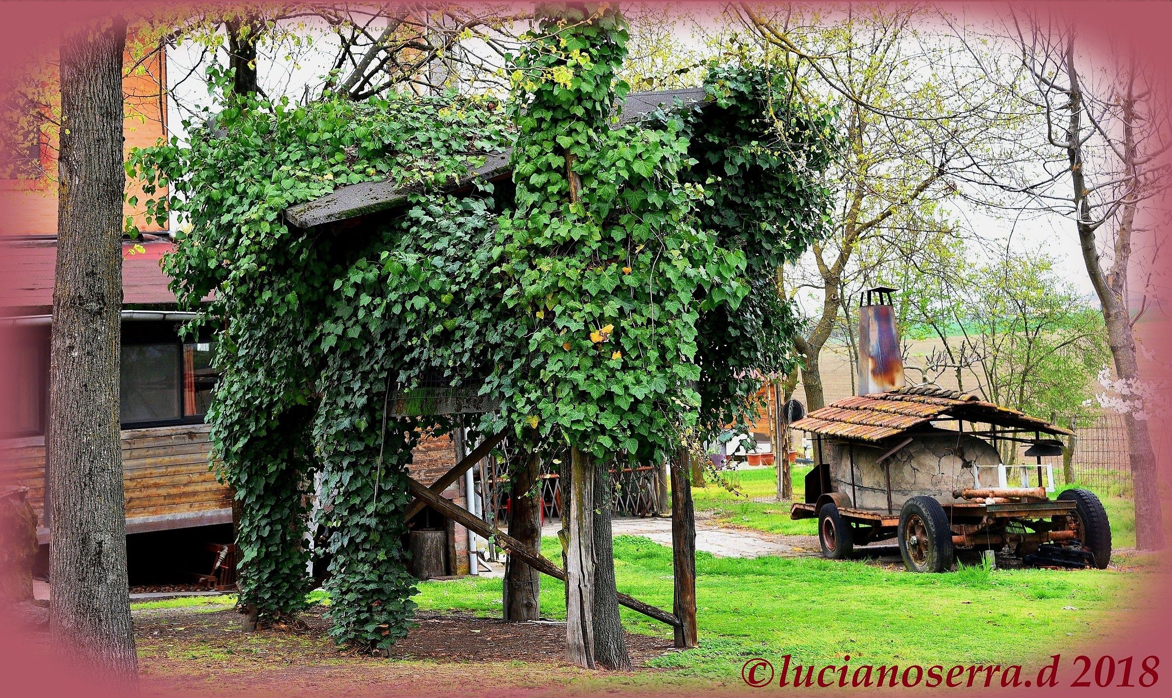 La casetta... mimetizzata... sugli alberi