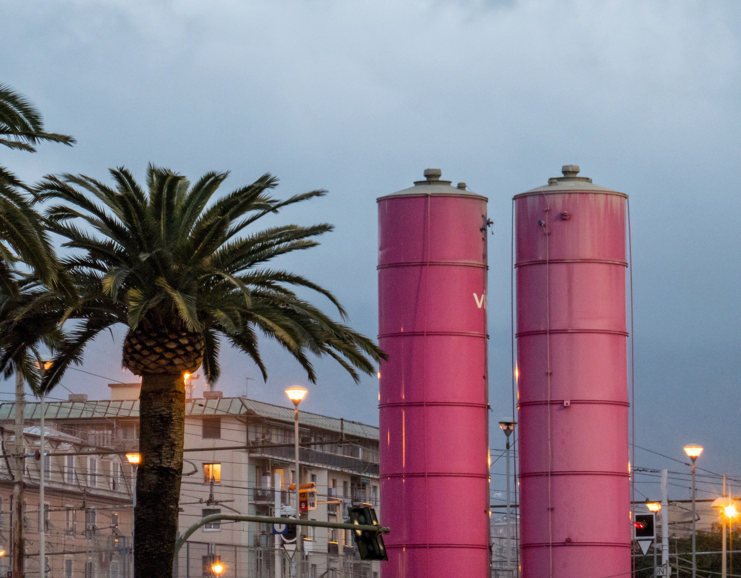 portraits in half stem