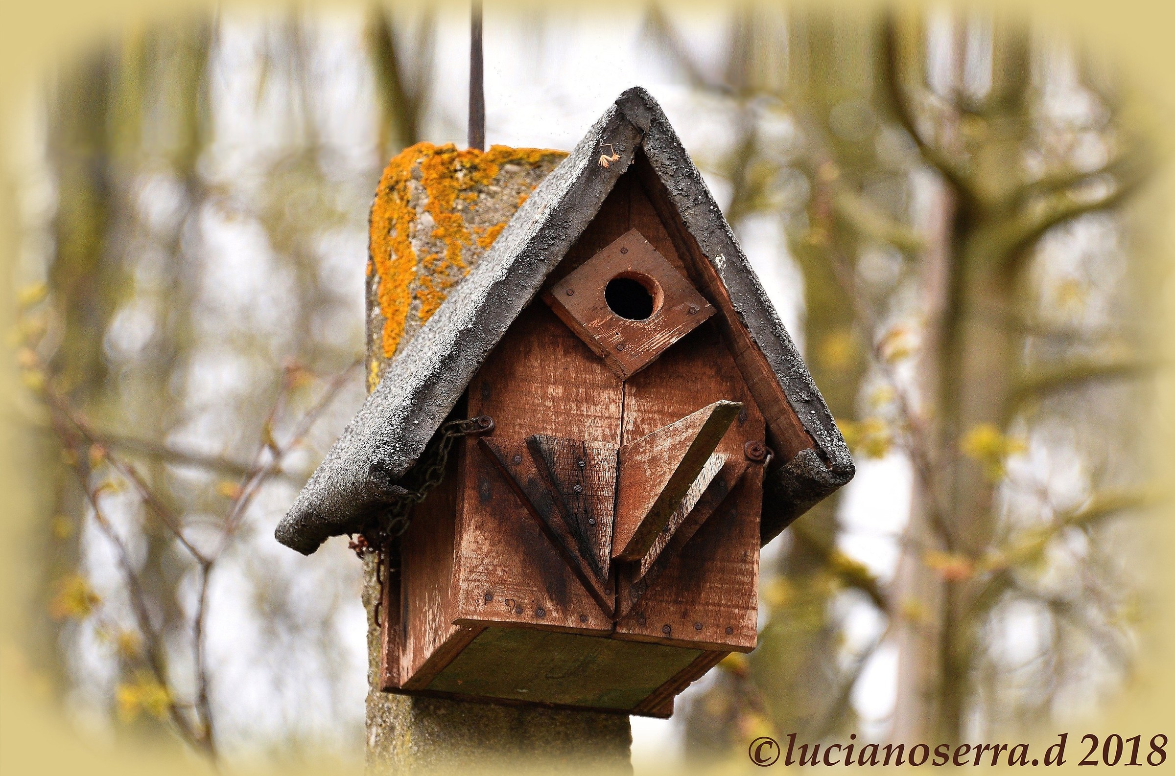 Small House for small birds