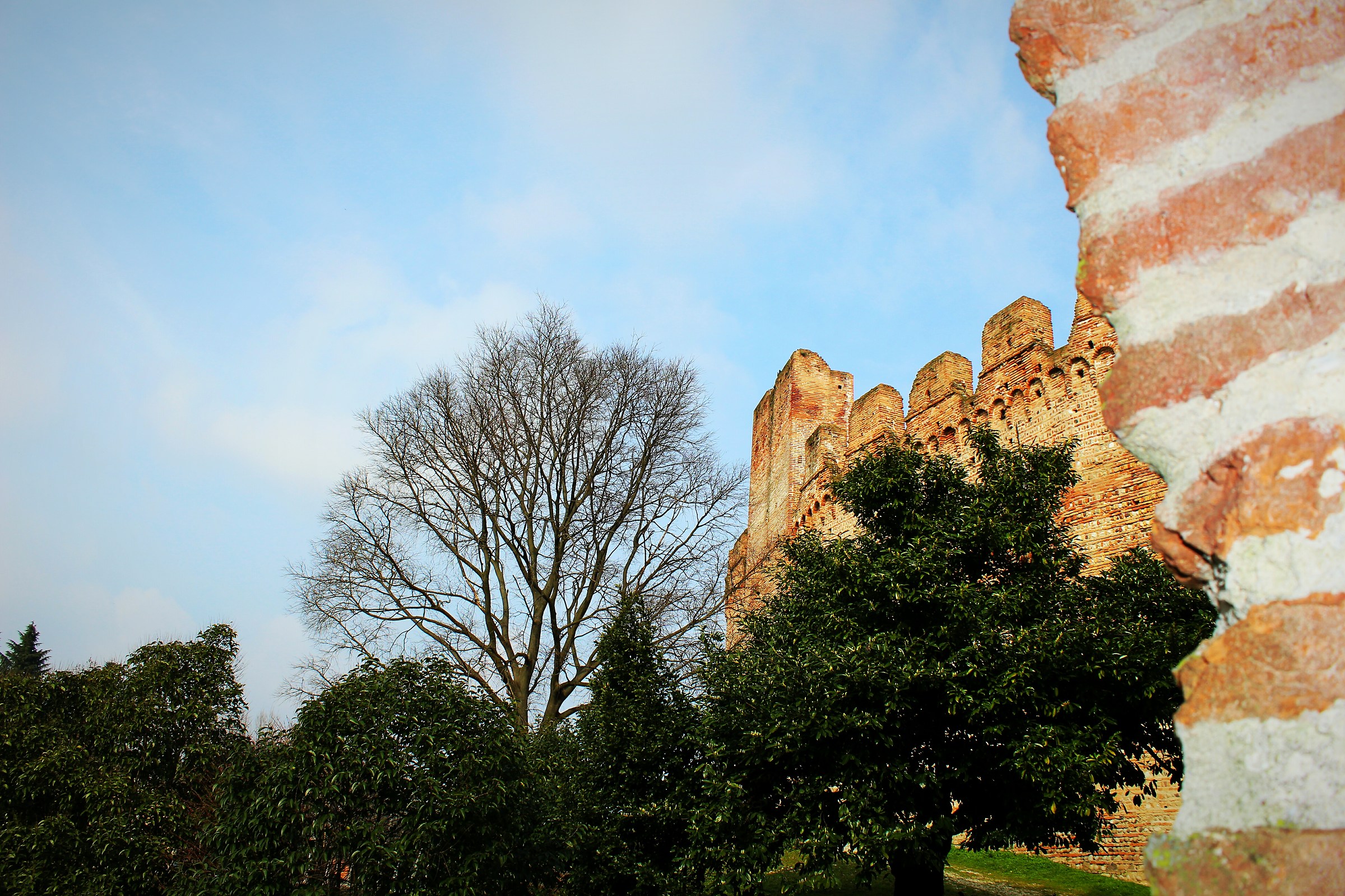 Uno scorcio di Cittadella