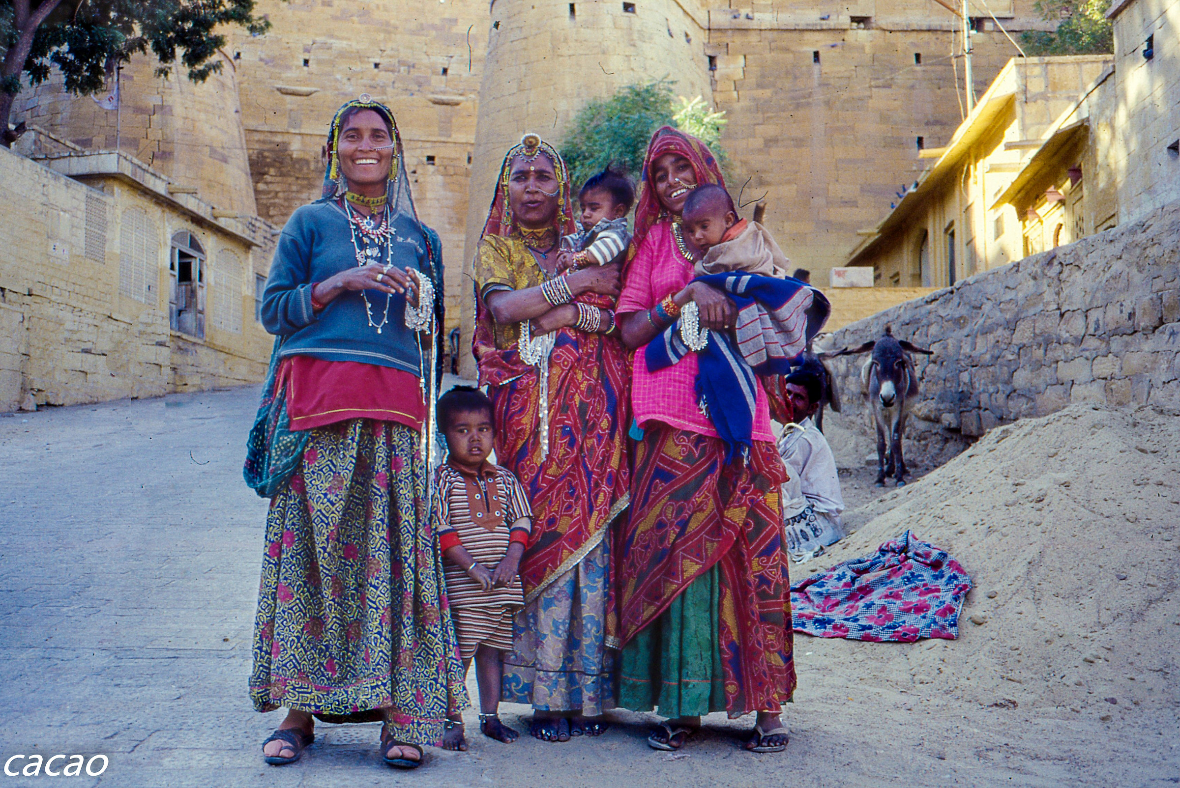 Famiglis indiana Rajasthan