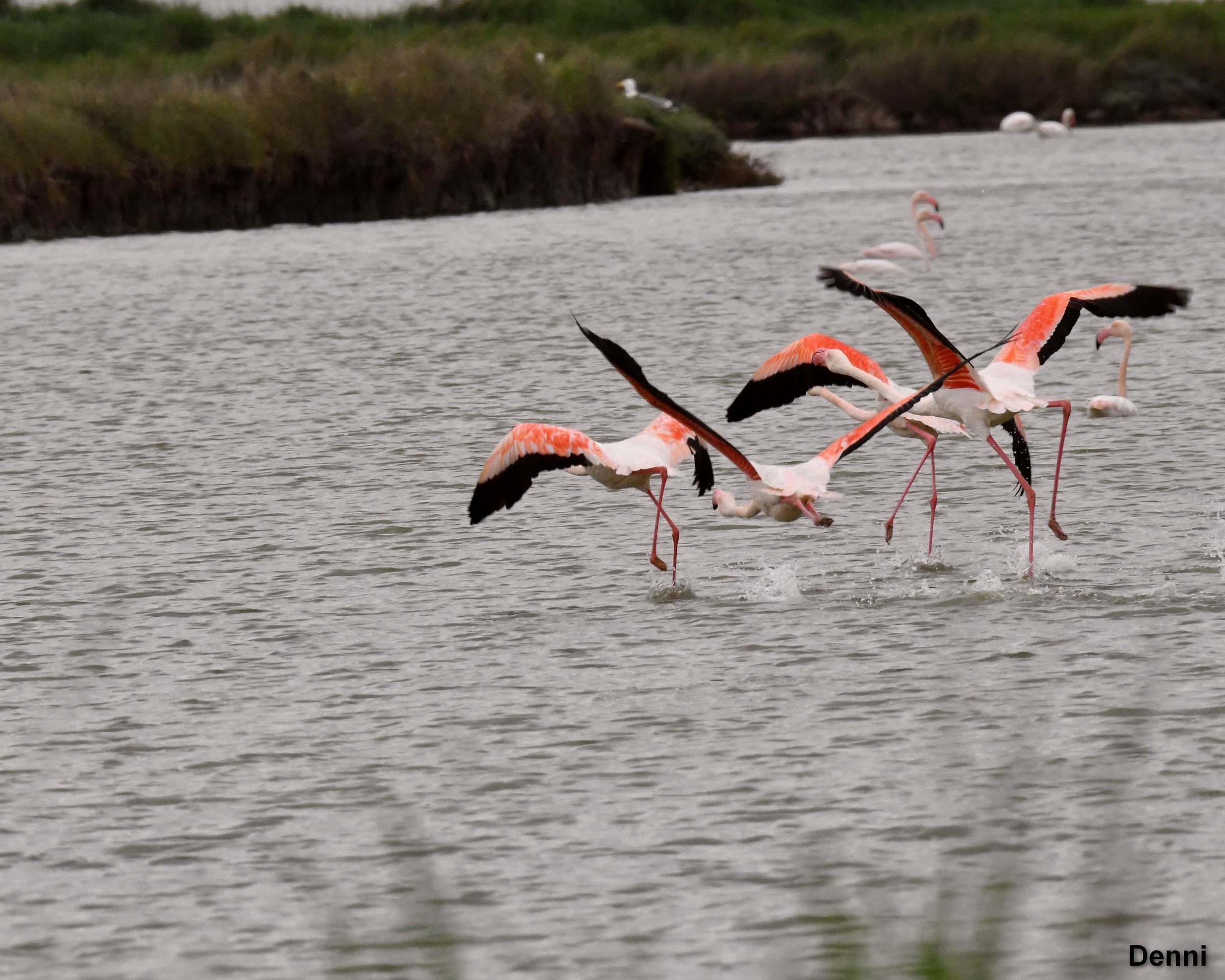 Meanwhile let's get away