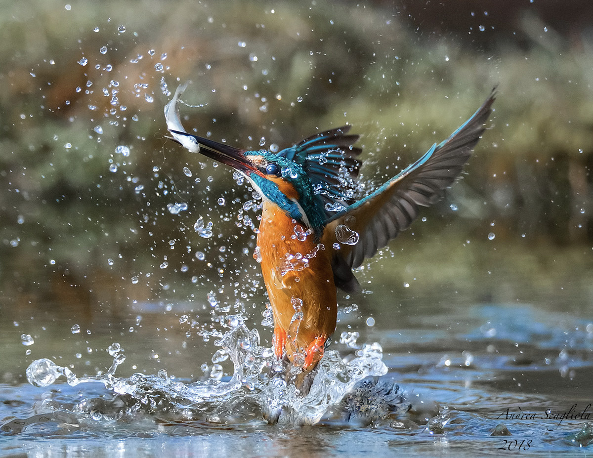 Spllllaaaaaaassssshhhhhh2!