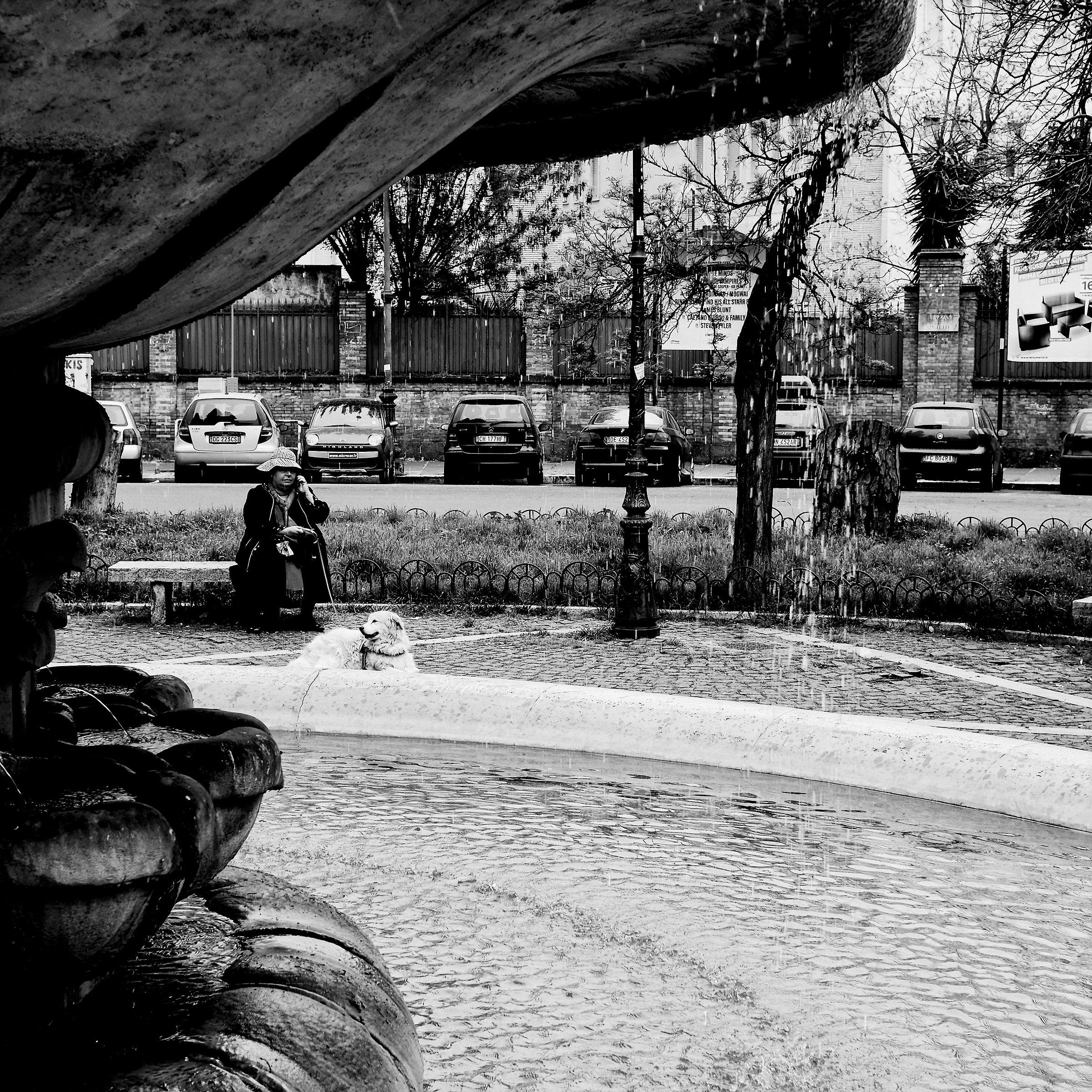 Central Park NY at piazza dei Quiriti