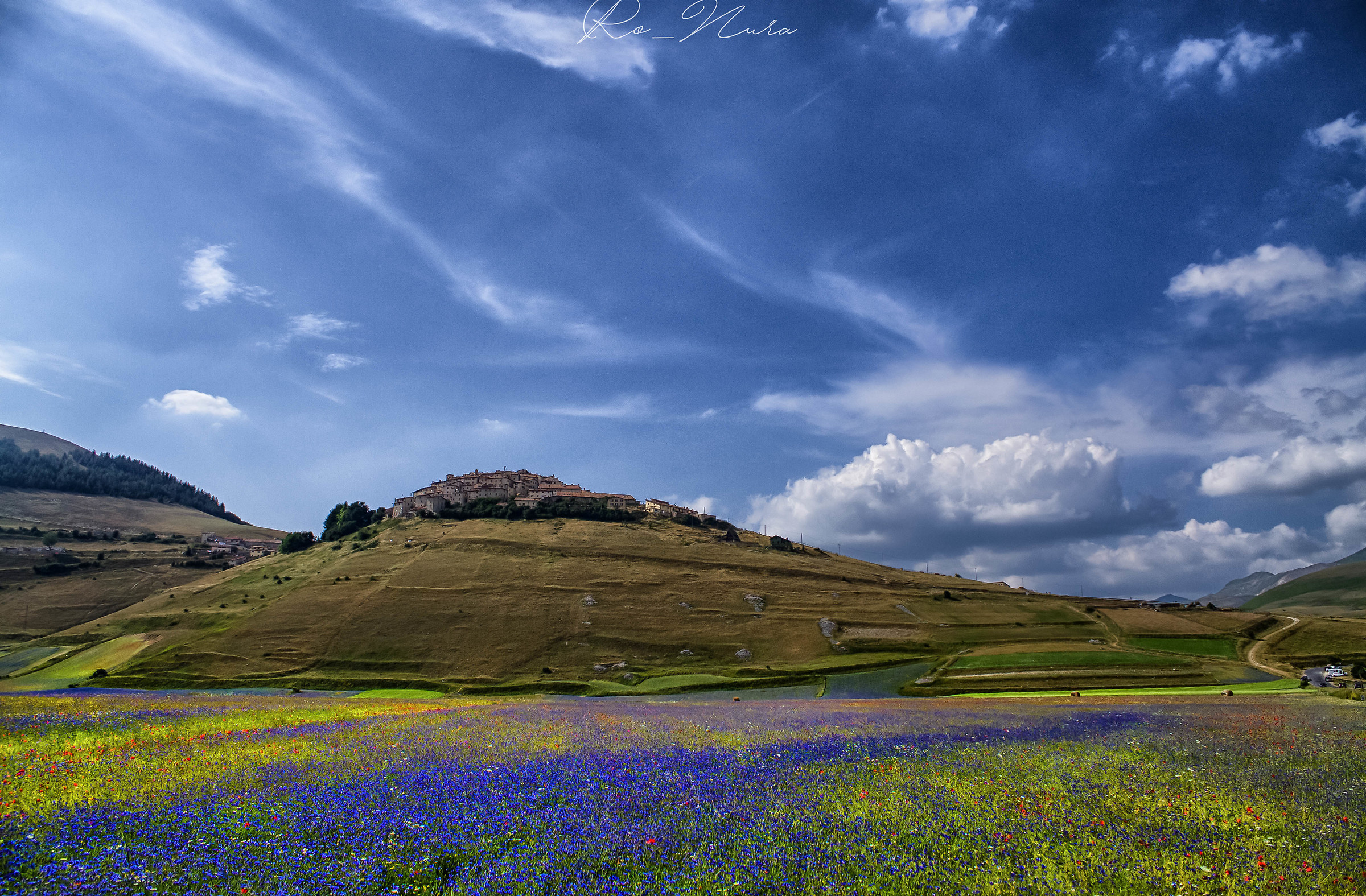 Castelluccio in fiore