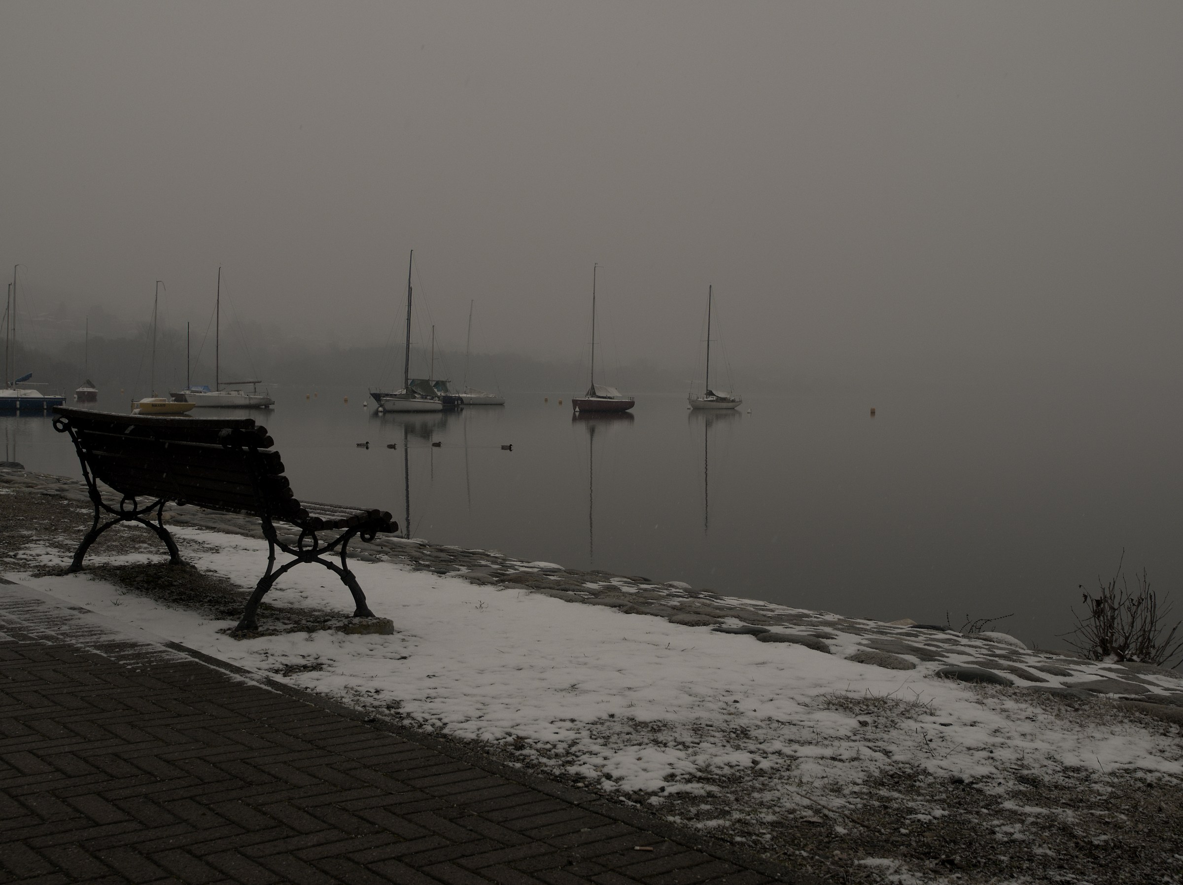 Desolazione lacustre