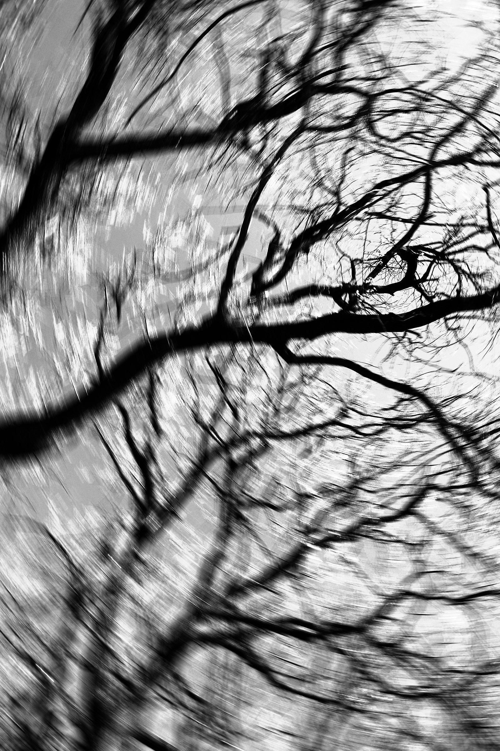 Untitled Photo
