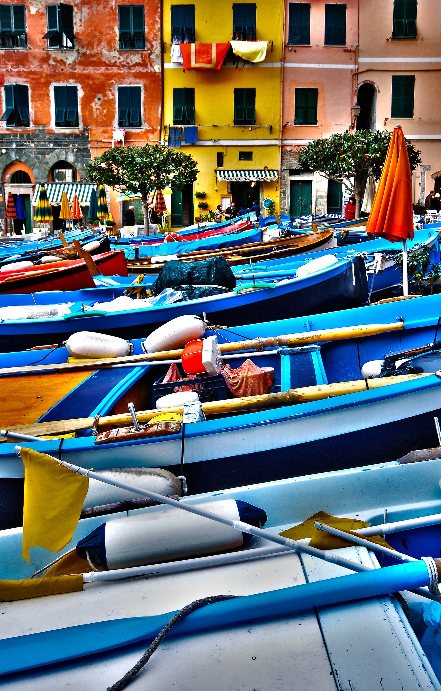 VERNAZZA CENTER