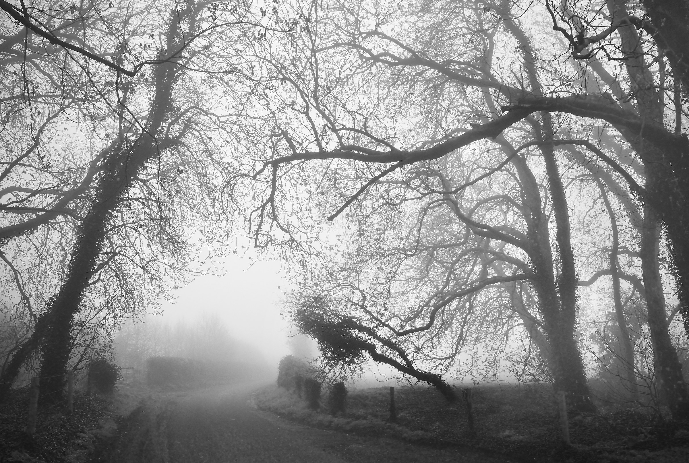 Il ritorno di nebbia di autunno (aprile)